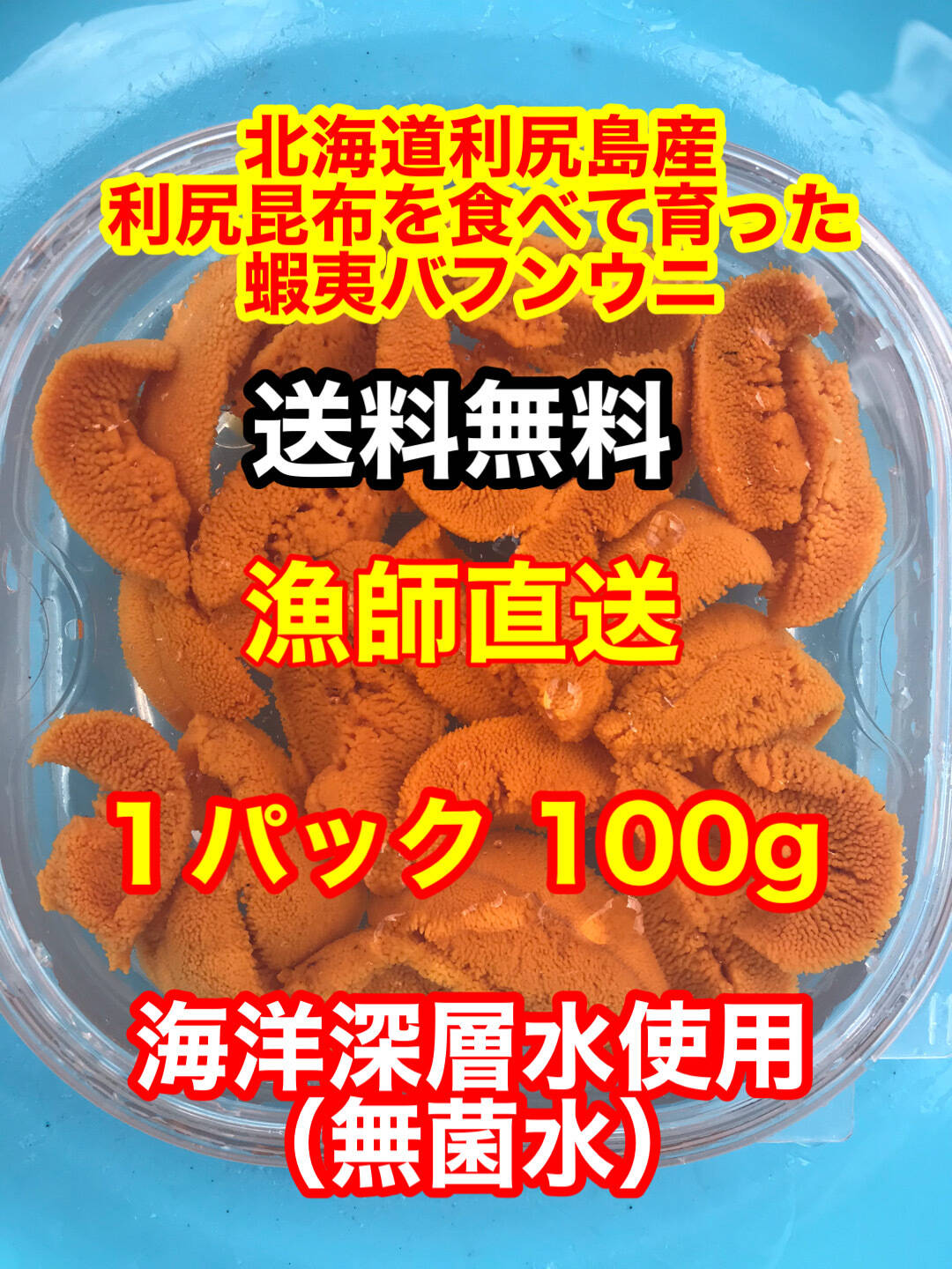 北海道産最高峰利尻島産塩水蝦夷生バフンウニ袋入り賞味500g - その他食品