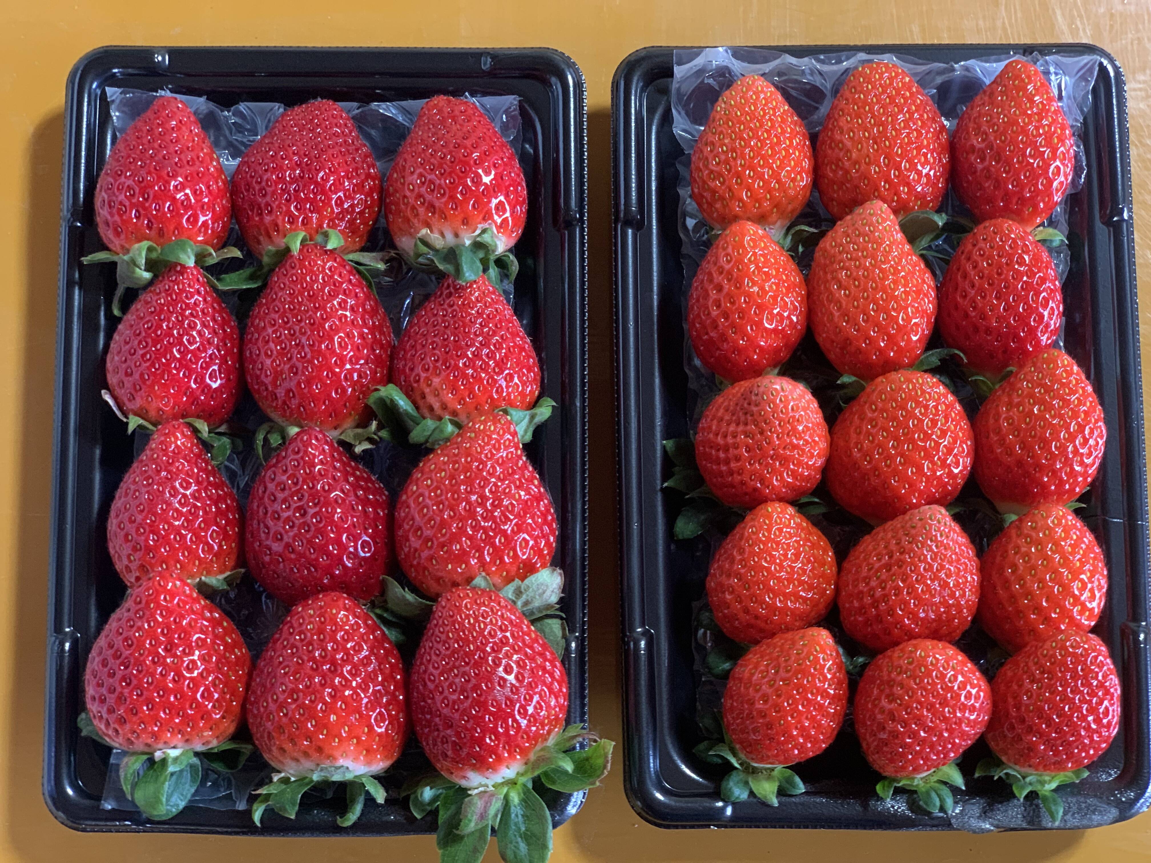 あまりん・べにたま】食べ比べ2パック(500g)🍓：埼玉県産の