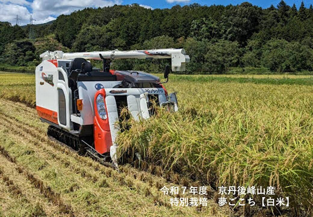 【タムLove♡ご相談ページ】令和6年度新米・農家直送　丹後コシヒカリ 送料無料】新米 令和6年産 丹後産コシヒカリ (5kg) 京都丹後地方