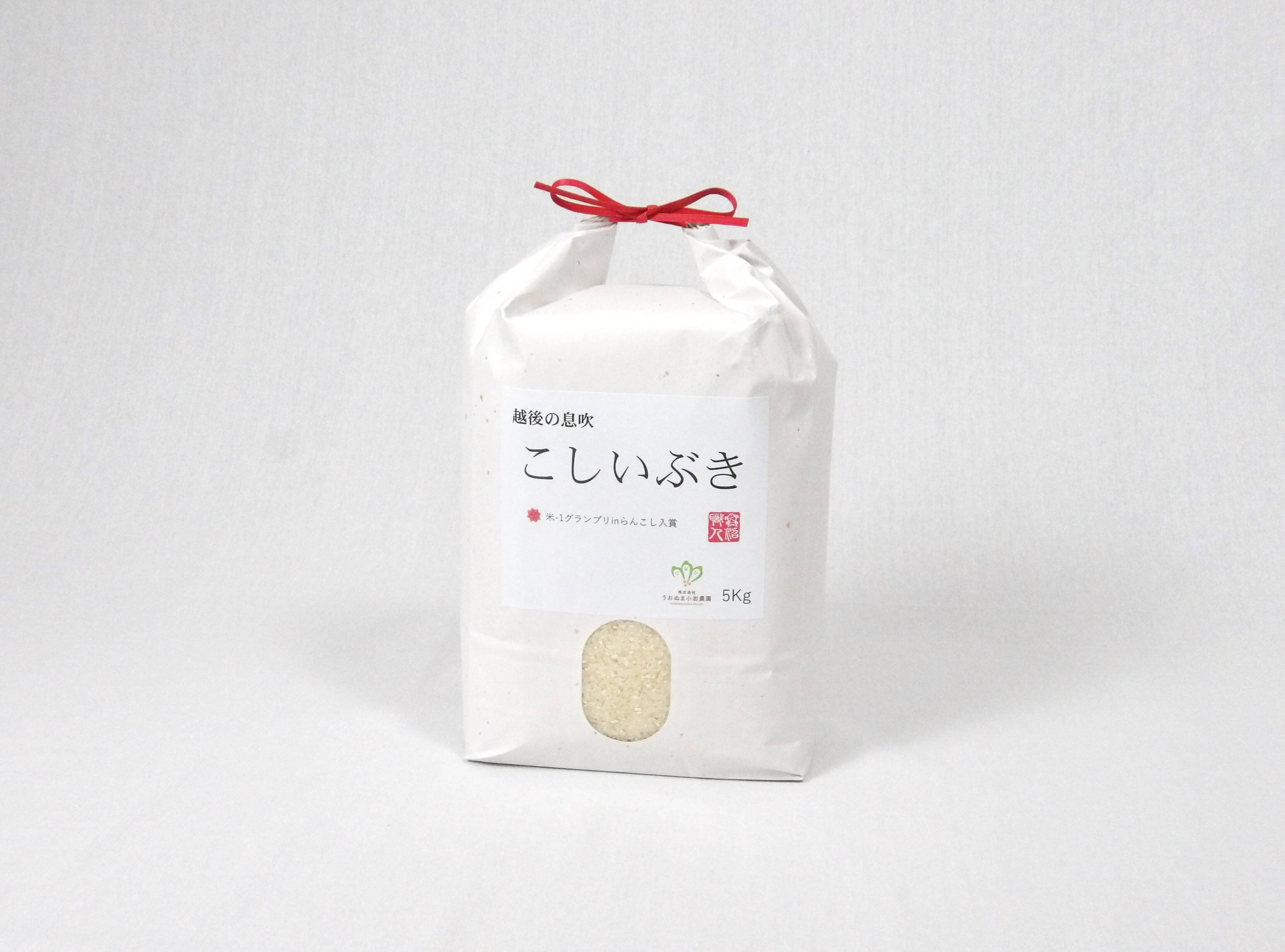 R7年 魚沼産こしいぶき 精米5Kg 数量限定販売：新潟県産のこしいぶき