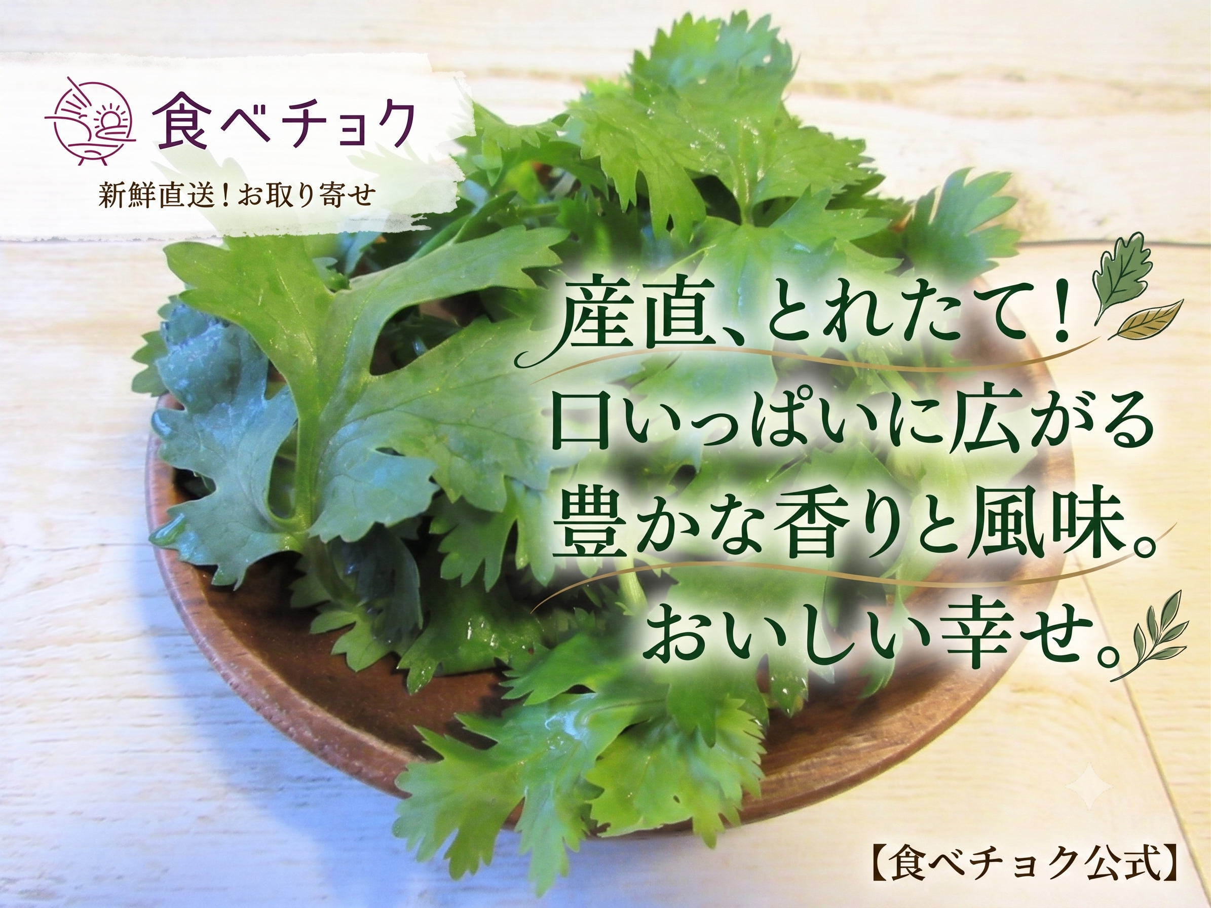 京都産】露地で育てた香り高いパクチー（コリアンダー） 300g：京都府