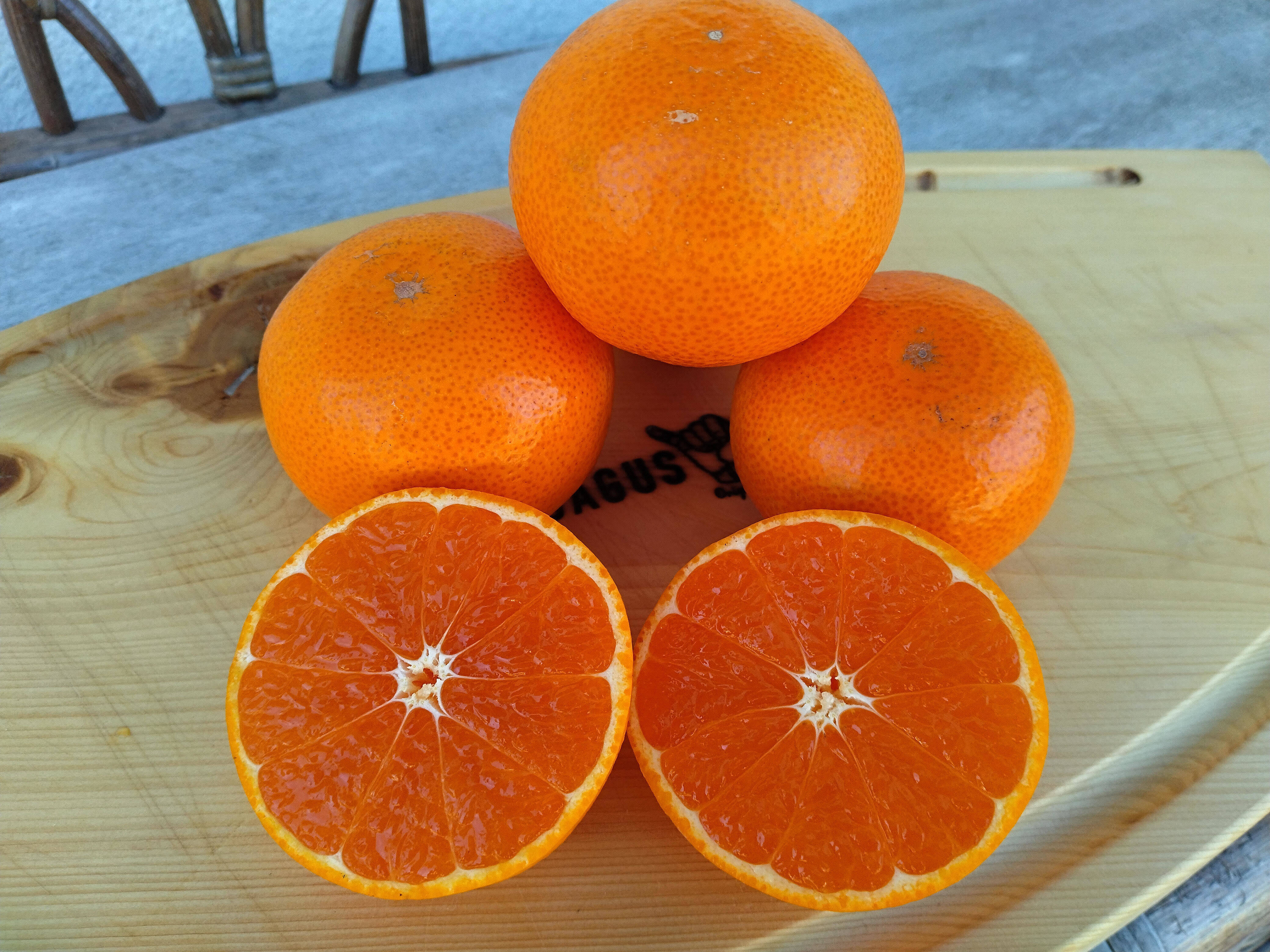 貴重な柑橘】濃厚！とろける果肉！せとか 家庭用約5㎏ （予約商品