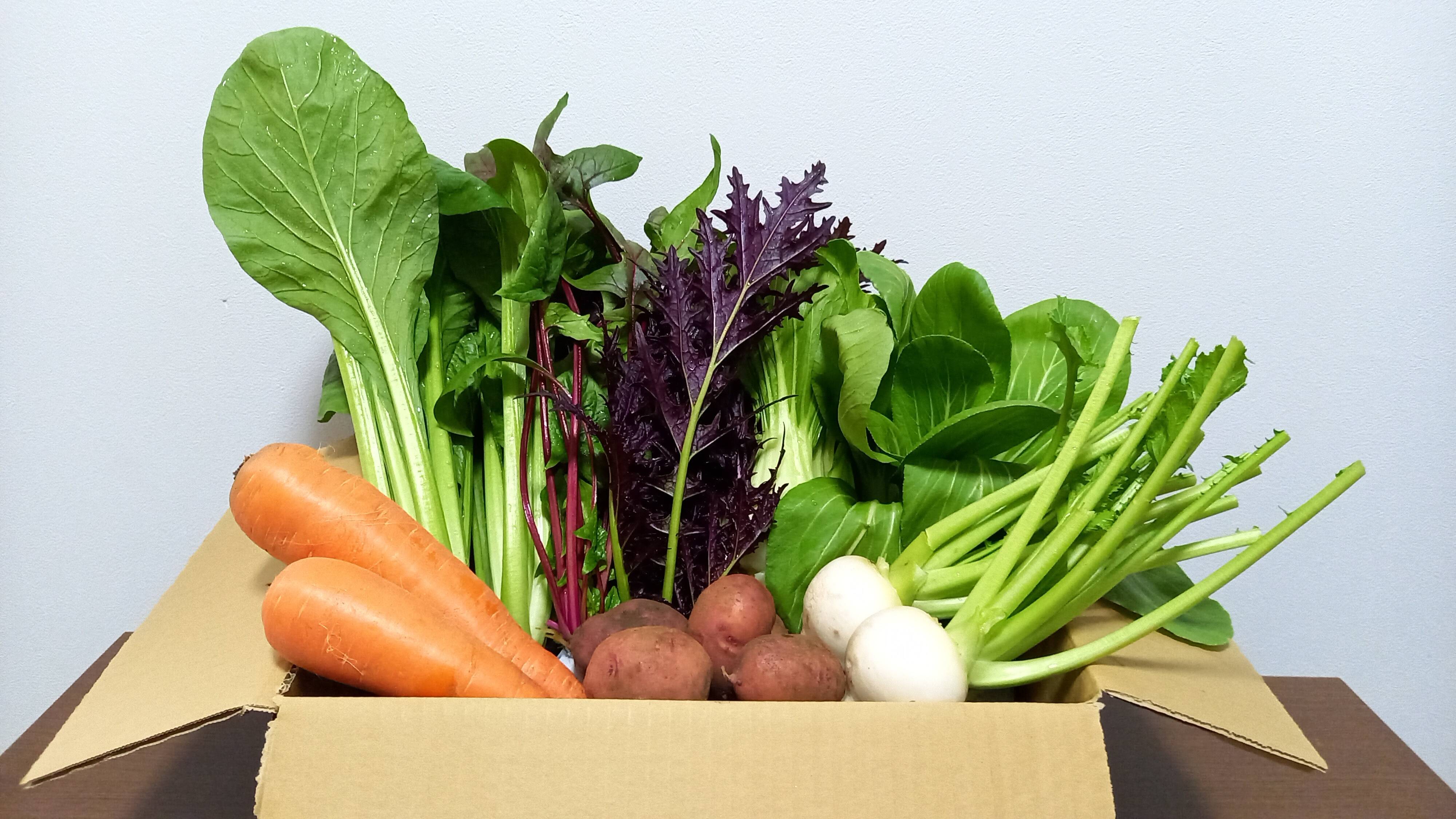 MIRA⭐️季節のお野菜セット 👑2年連続アワード受賞👑【未来をつくる笑み野菜】宮崎県産☆季節のお