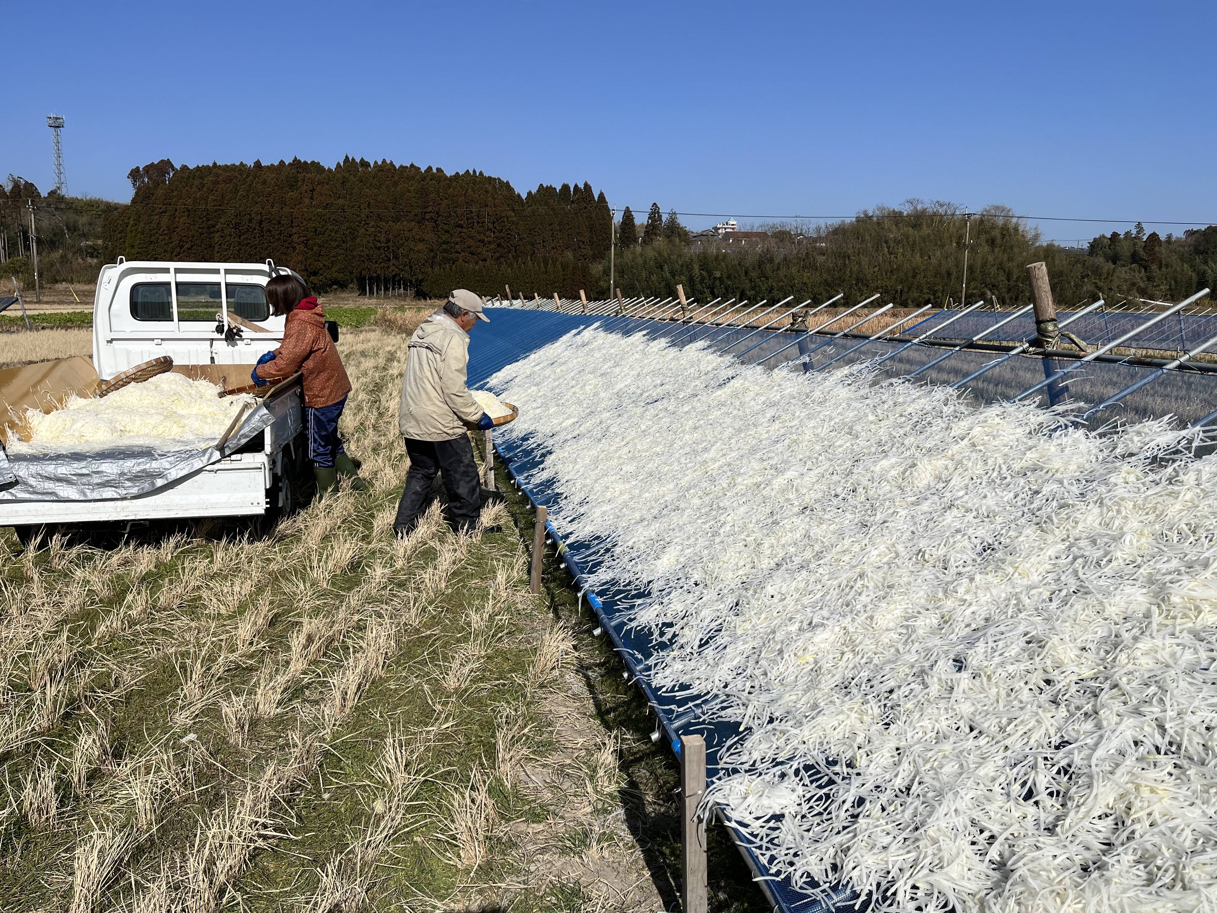 ree⭐︎shopへのレビュー・商品：宮崎県｜食べチョク｜産地直送