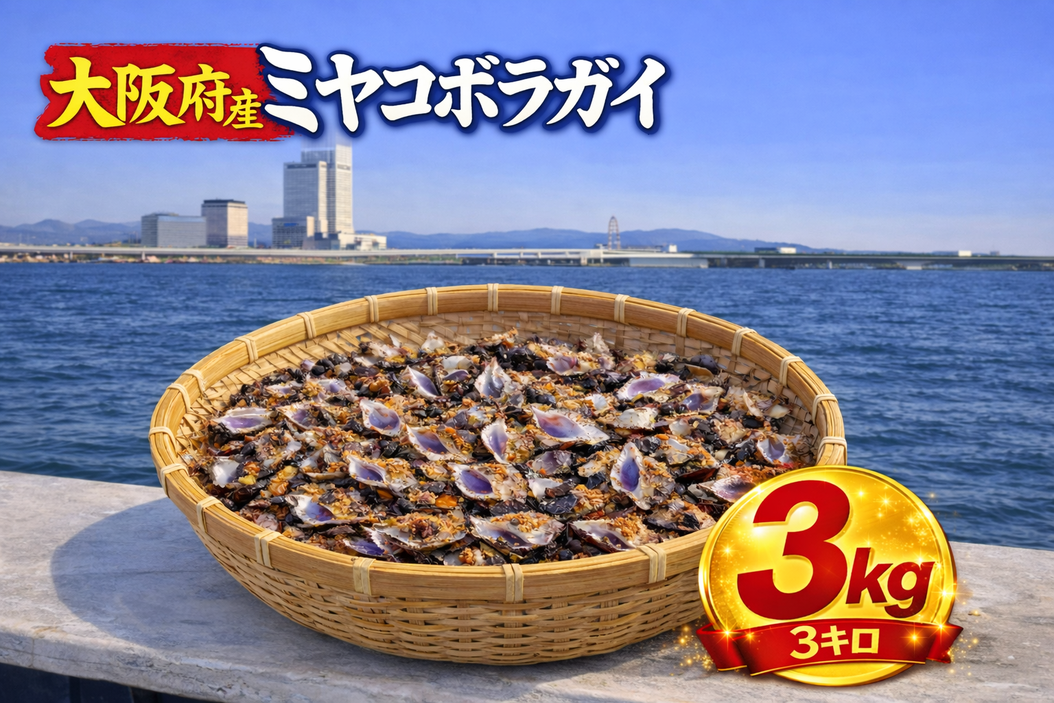 活ミヤコボラガイ 3kg：大阪府産のその他貝類｜食べチョク｜産地直送