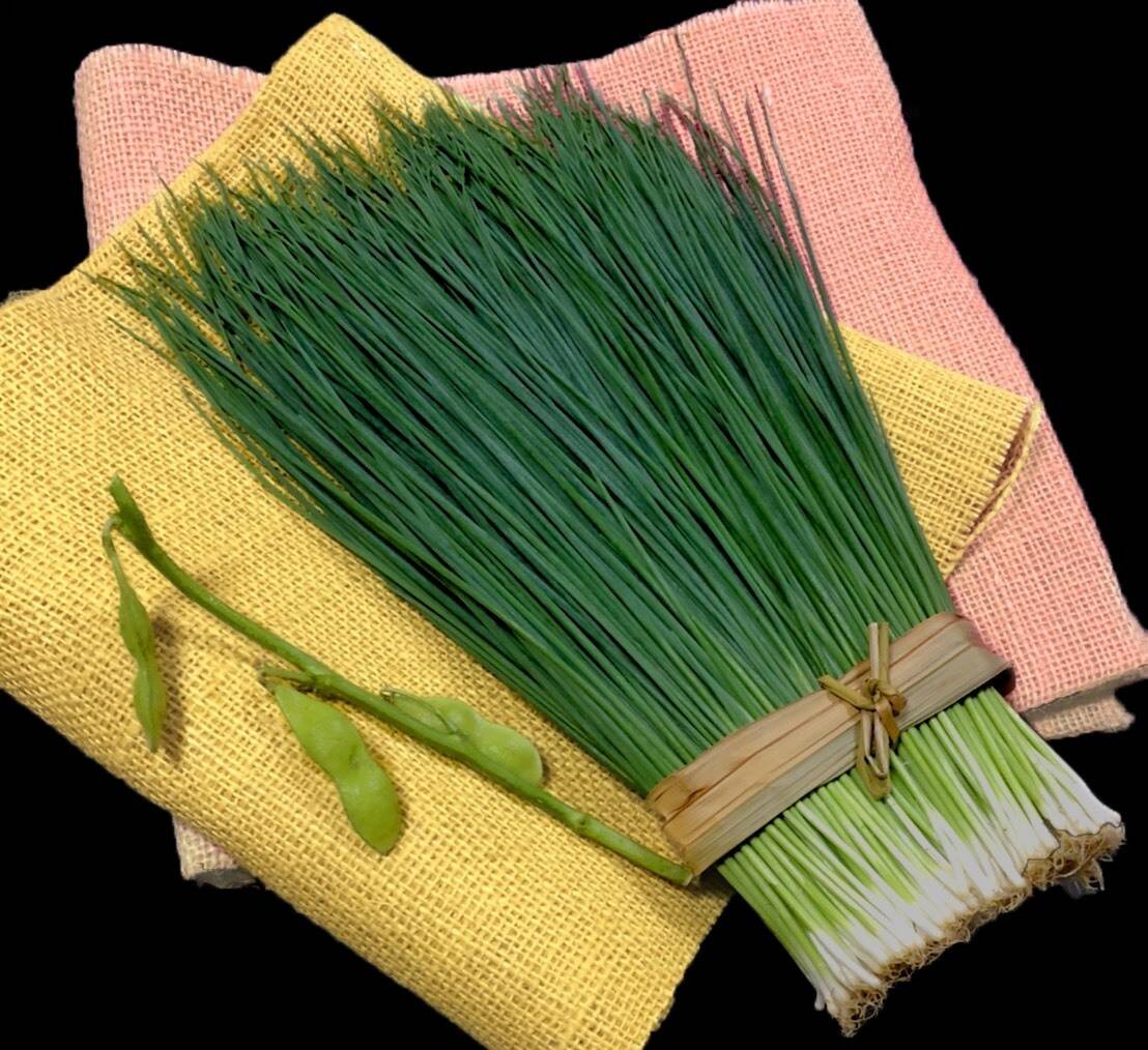 深緑のエメラルドをご家庭で！新感覚！極細2㍉の安岡ねぎ(ふぐねぎ