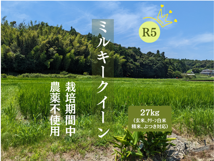 R5:ミルキークイーン玄米27kg（農薬不使用のお米）：静岡県産の