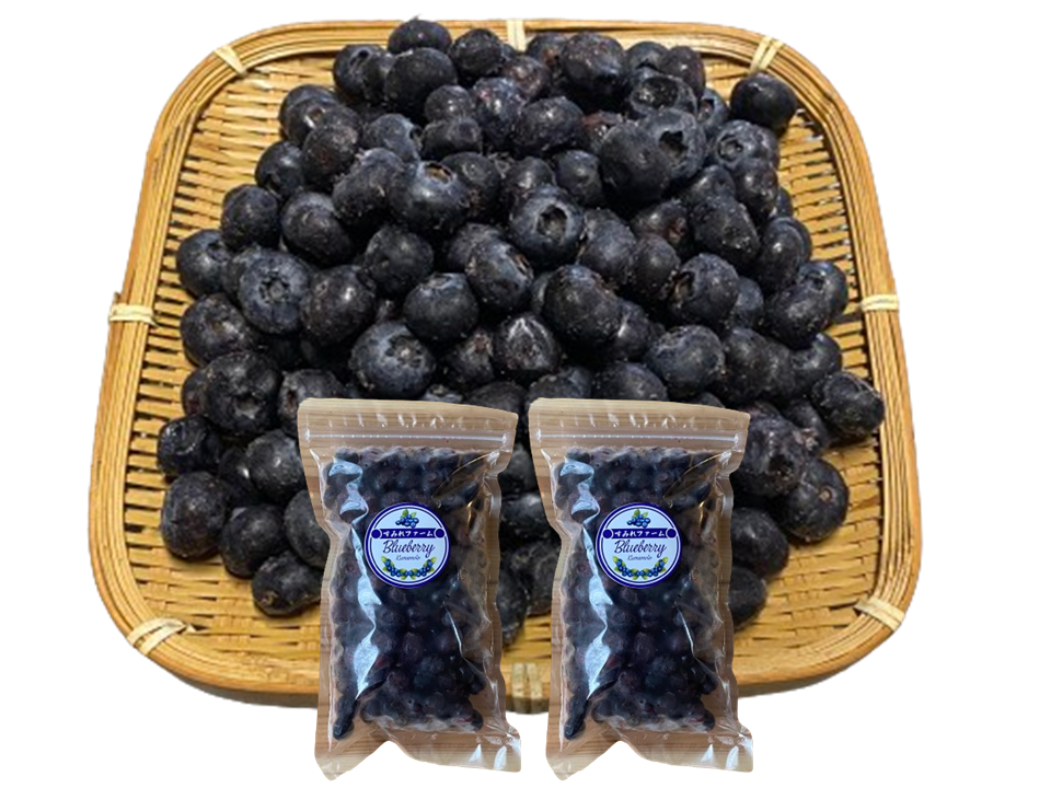大粒！冷凍ブルーベリー美味しさ凝縮『いっぱい詰め』1kg（500g×2袋