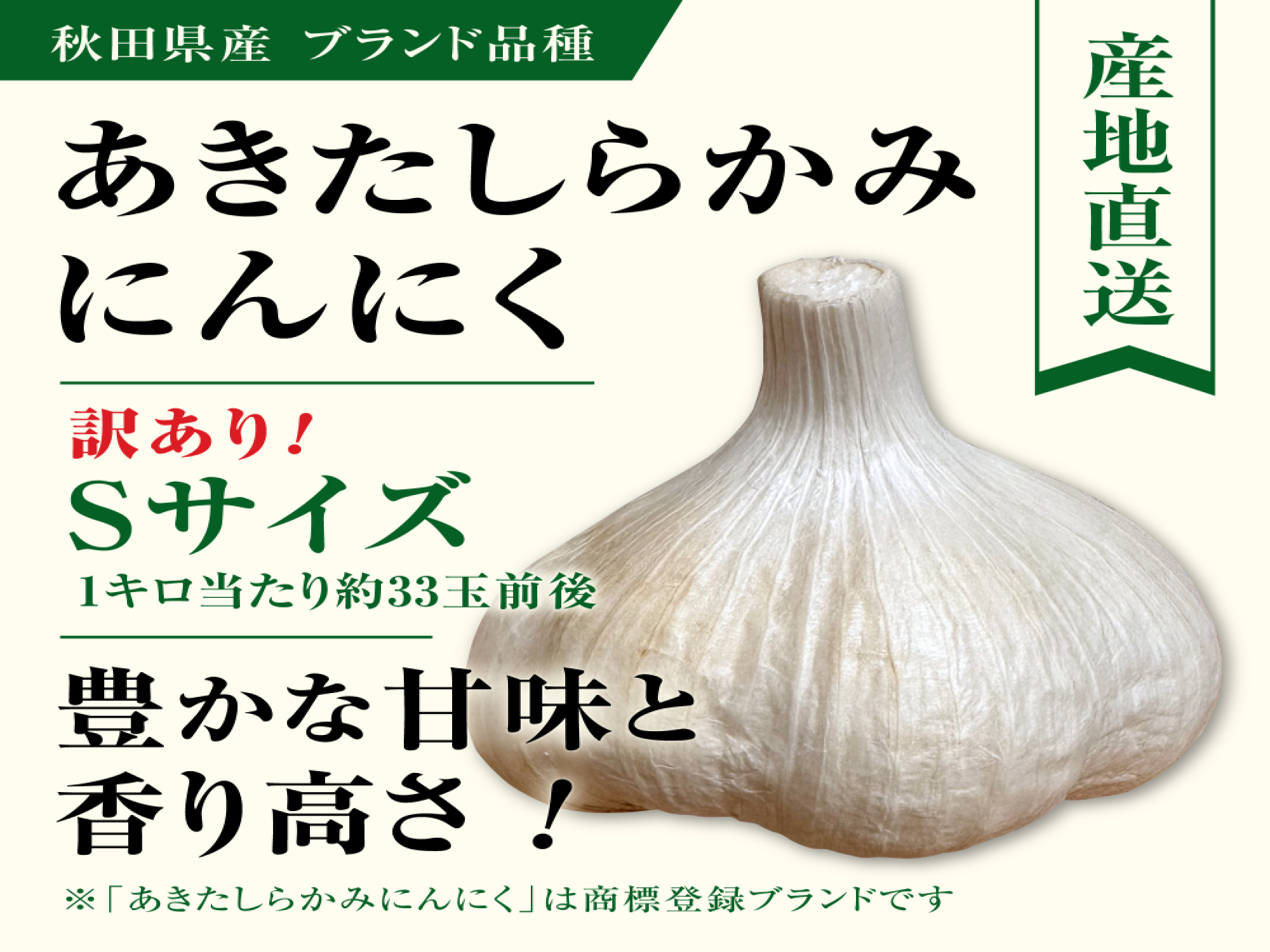 【新規出店記念セール！！】新物　白玉王🧄『あきたしらかみにんにく』訳ありSサイズ10kg