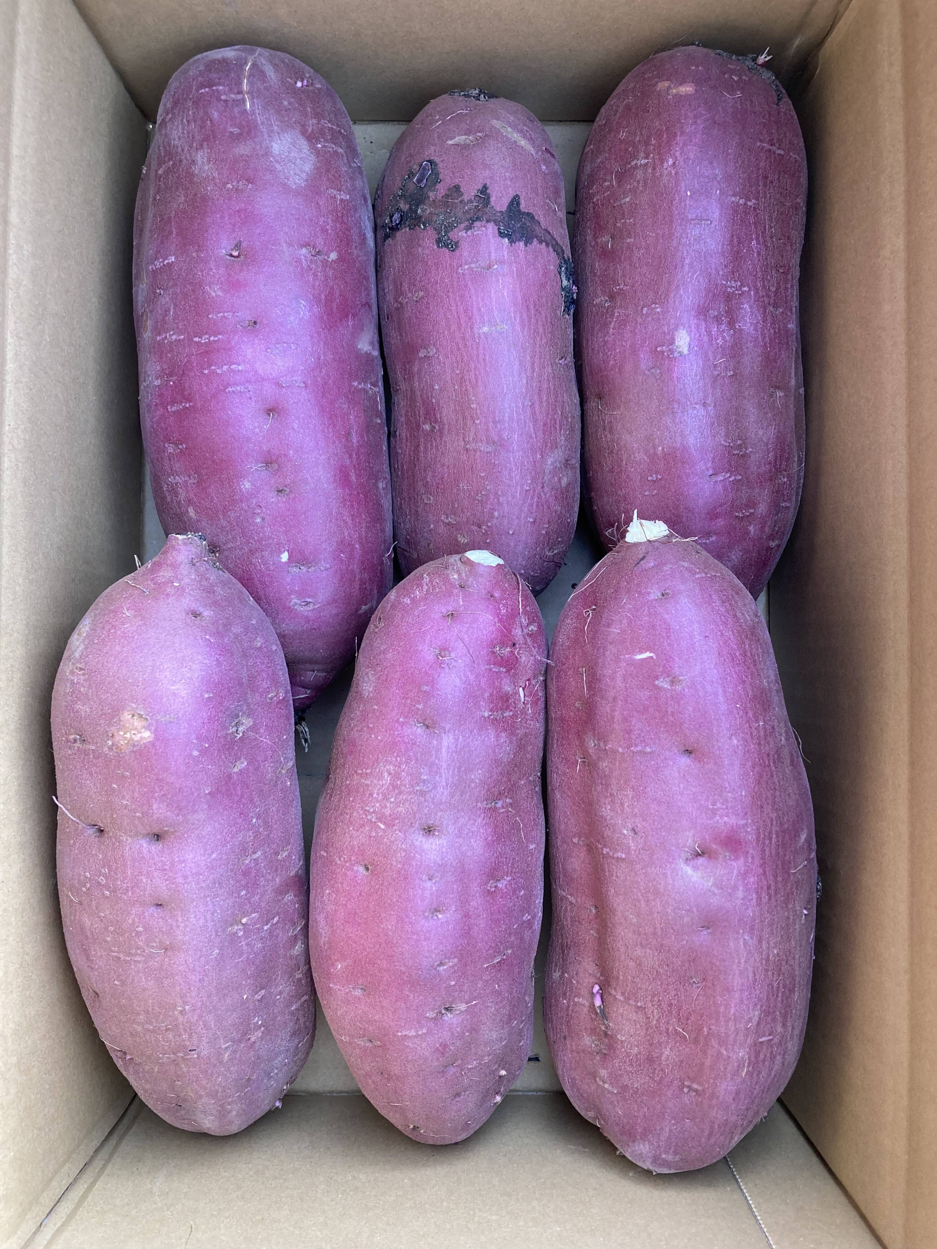 べにはるか　丸 L 20キロ 訳あり 新物】土付き べにはるか さつまいも 20kg 規格外：茨城