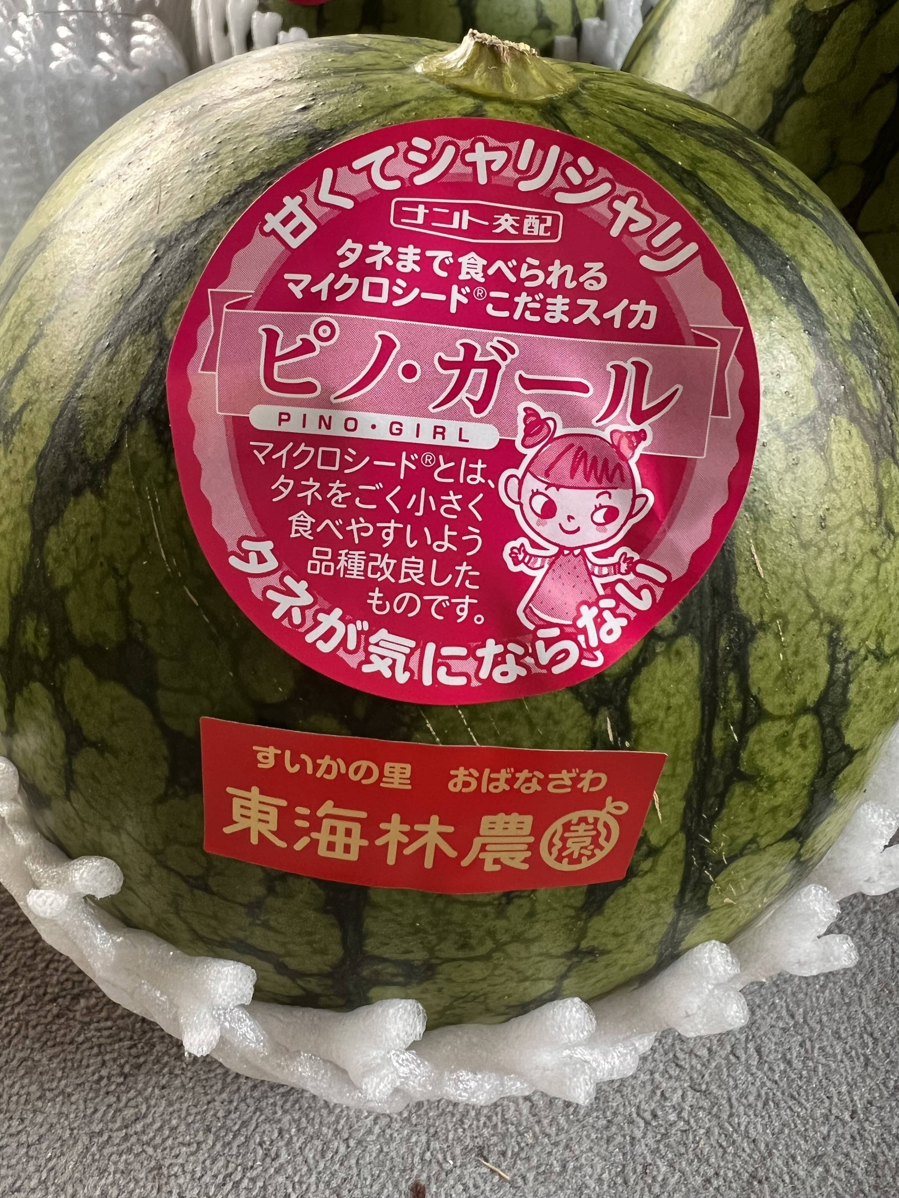 【夏ギフト】2024年予約品　, 種も食べられちゃうすいか🍉, ピノ・ガール　秀品１個入り１箱