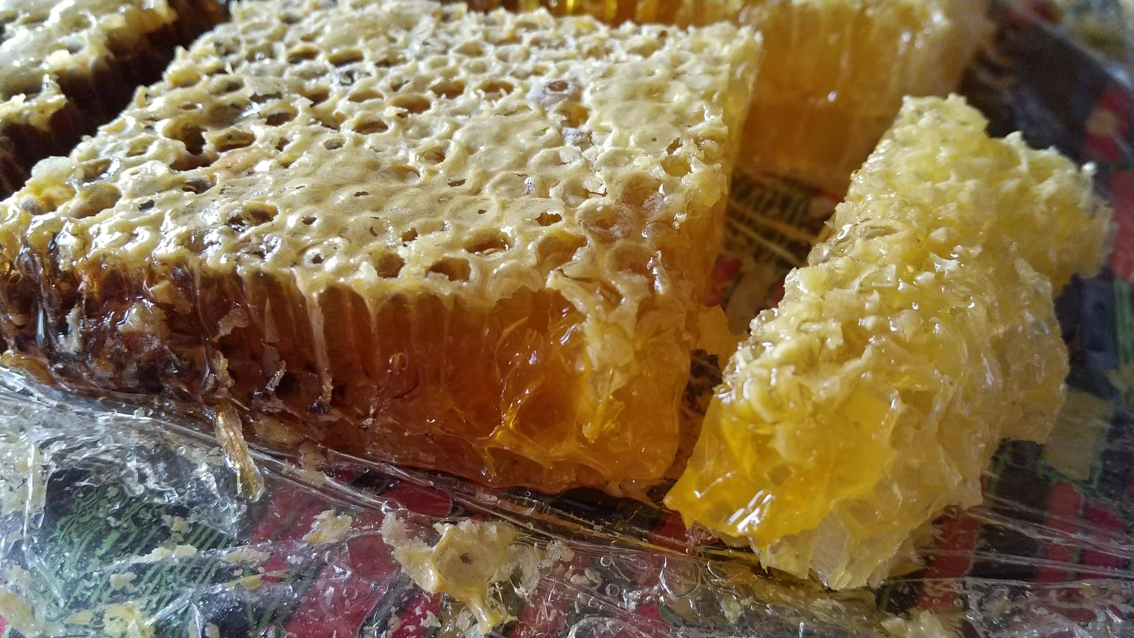 日本蜜蜂の巣蜜『極味』：福岡県産のはちみつ｜食べチョク｜産地直送