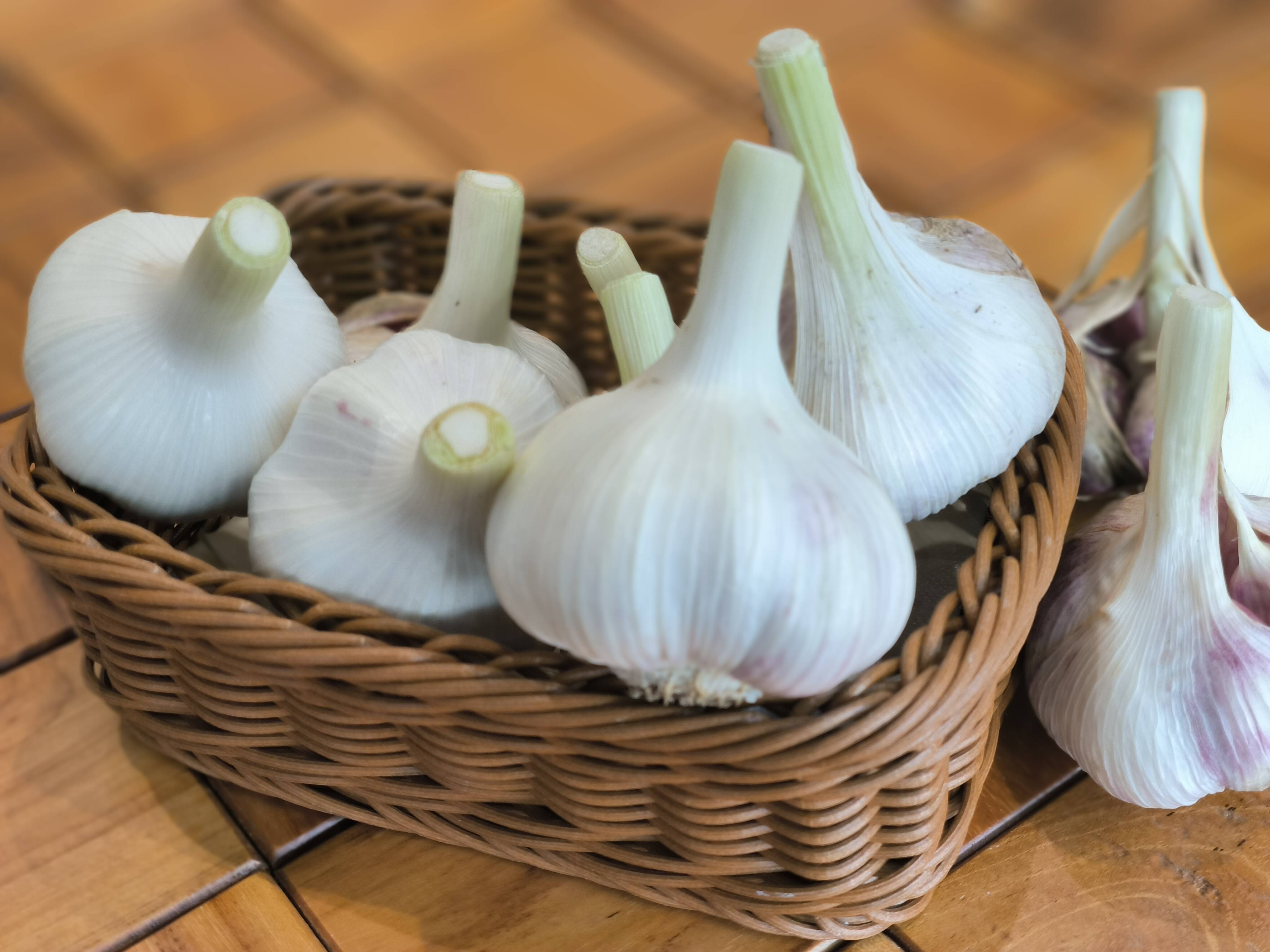 埼玉育ち！みんなのニンニク（嘉定種）500g：埼玉県産の嘉定｜食べ