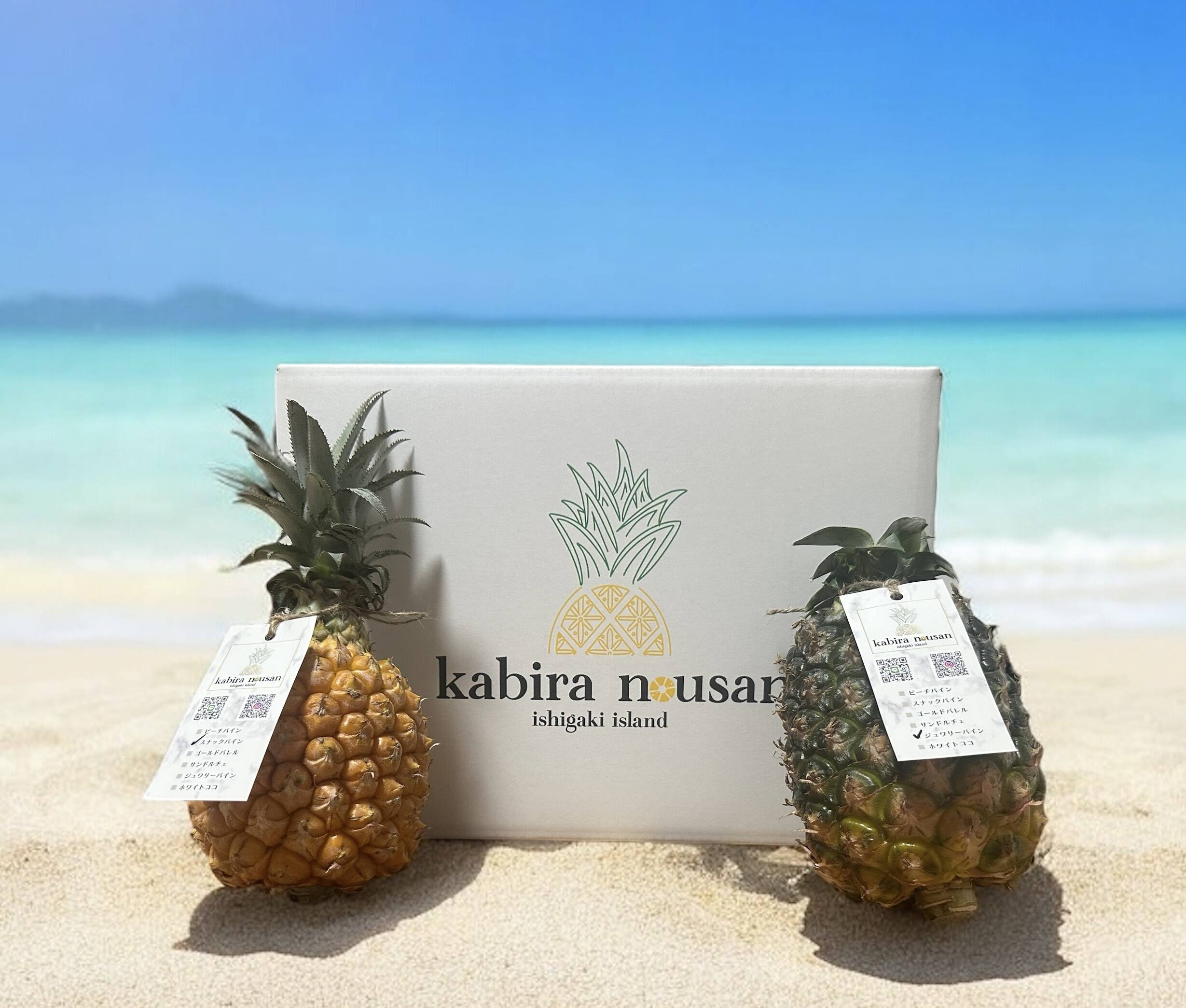 石垣島産】ジュワリーパインとスナックパインのお得な食べ比べセット