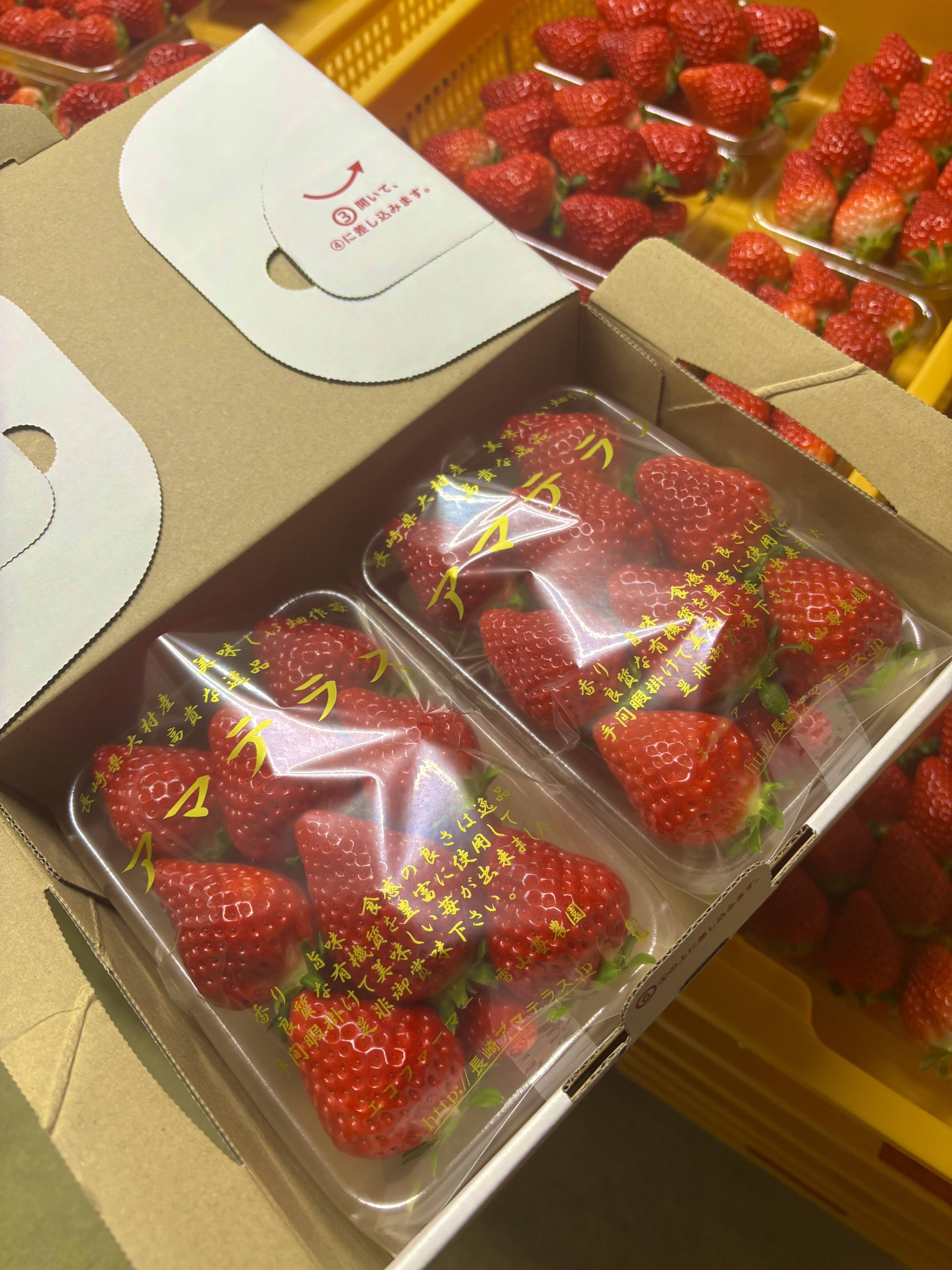 幻の高級いちご アマテラス 2Lサイズ 2パック：長崎県産のアマテラス