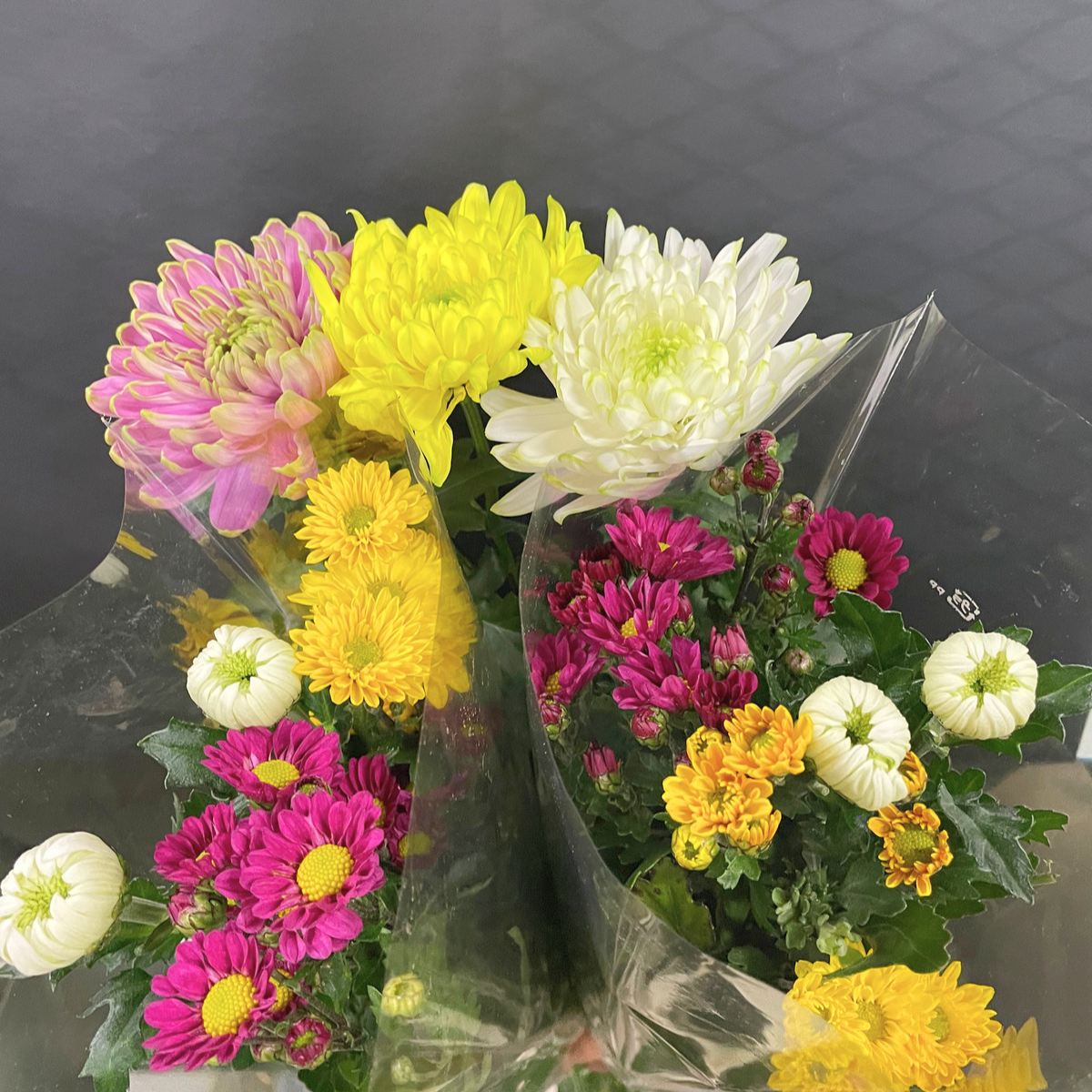 年末年始限定】仏様やお墓参りに！仏様用菊セット【40cm4束セット