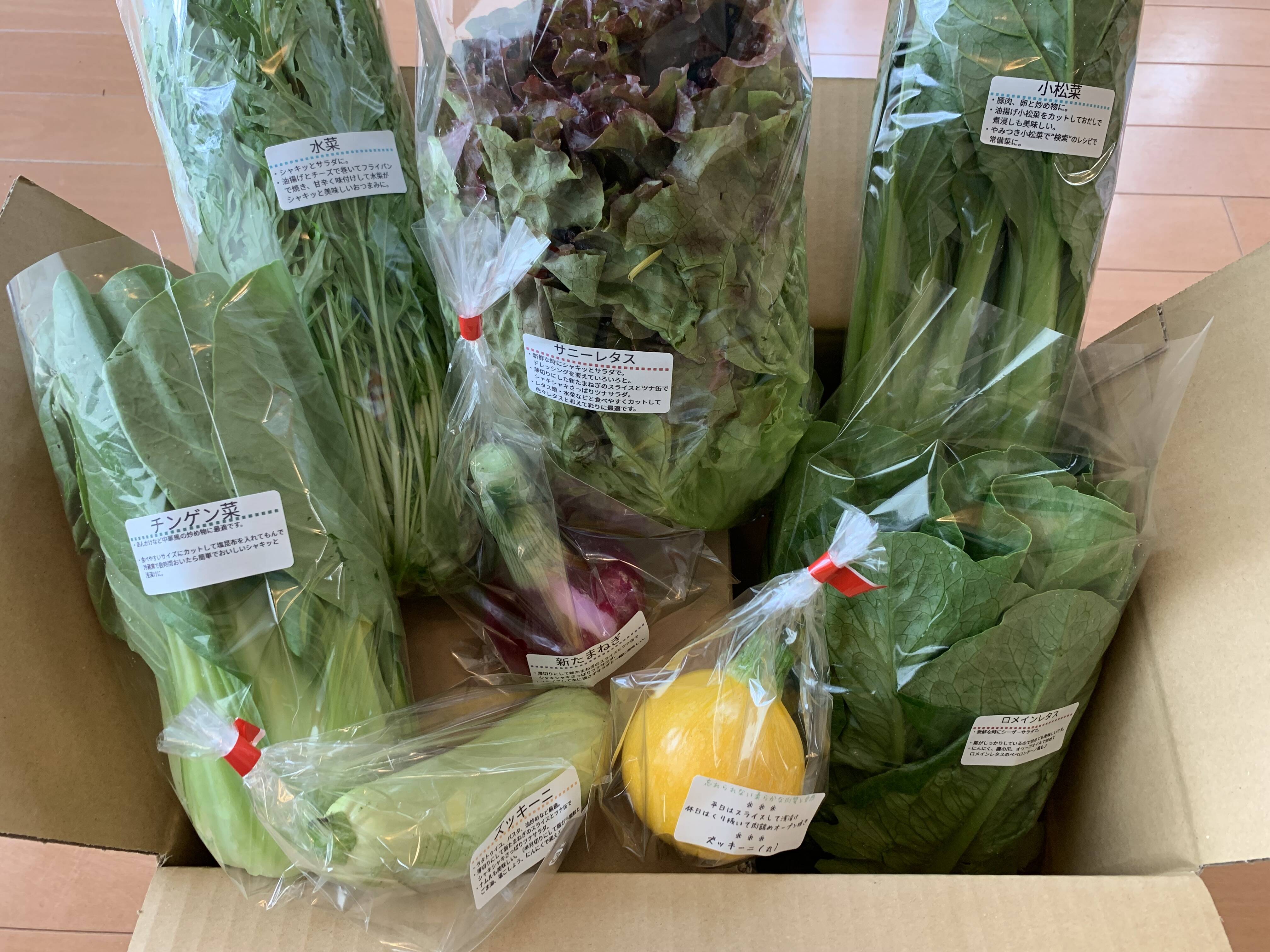 おまかせ野菜セット 軽井沢高原野菜 新鮮【朝どれ】農家おまかせ野菜セット 7～9品目 M