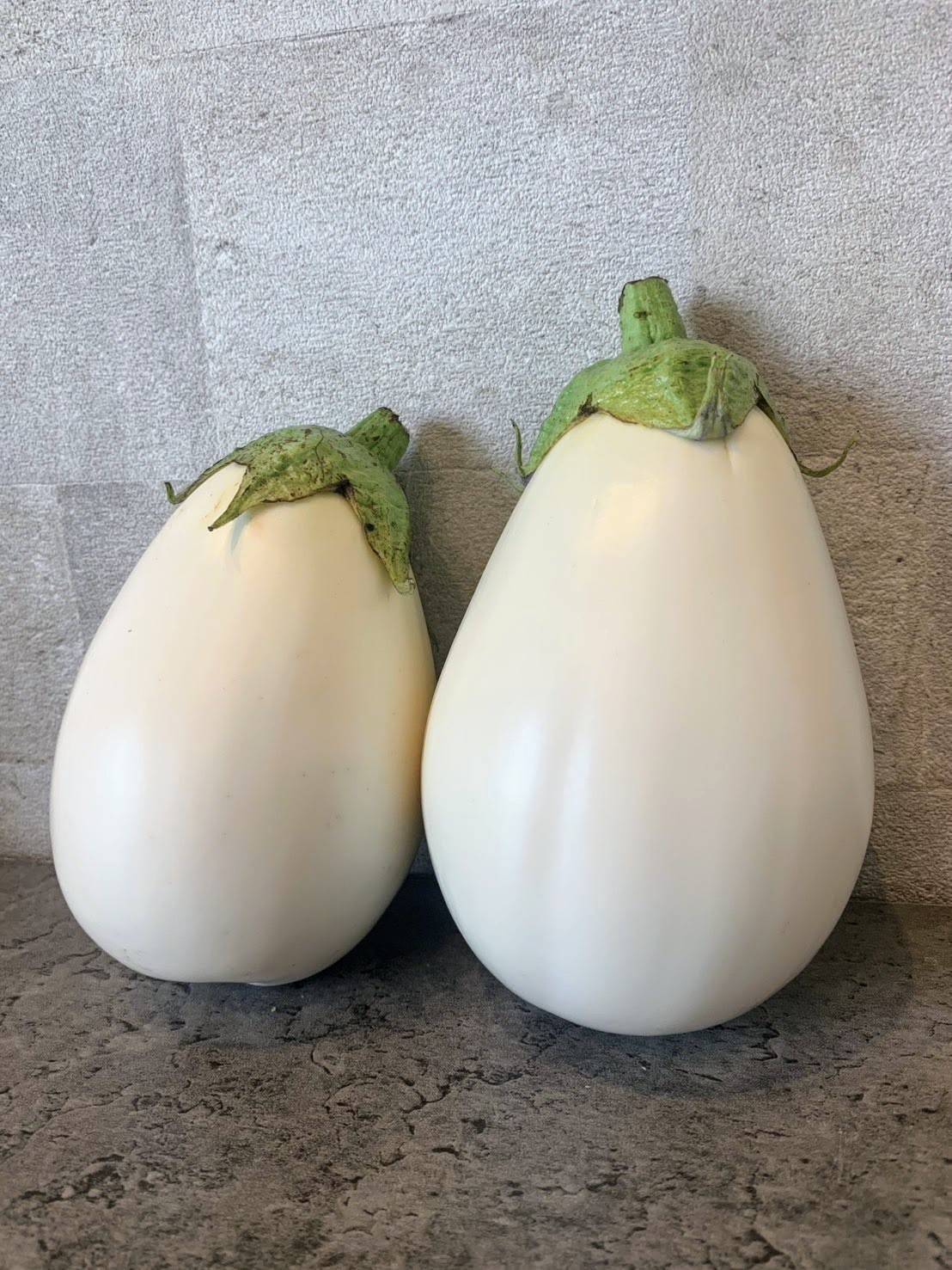 743f64ea68e8a67c3dfba68d6368a1