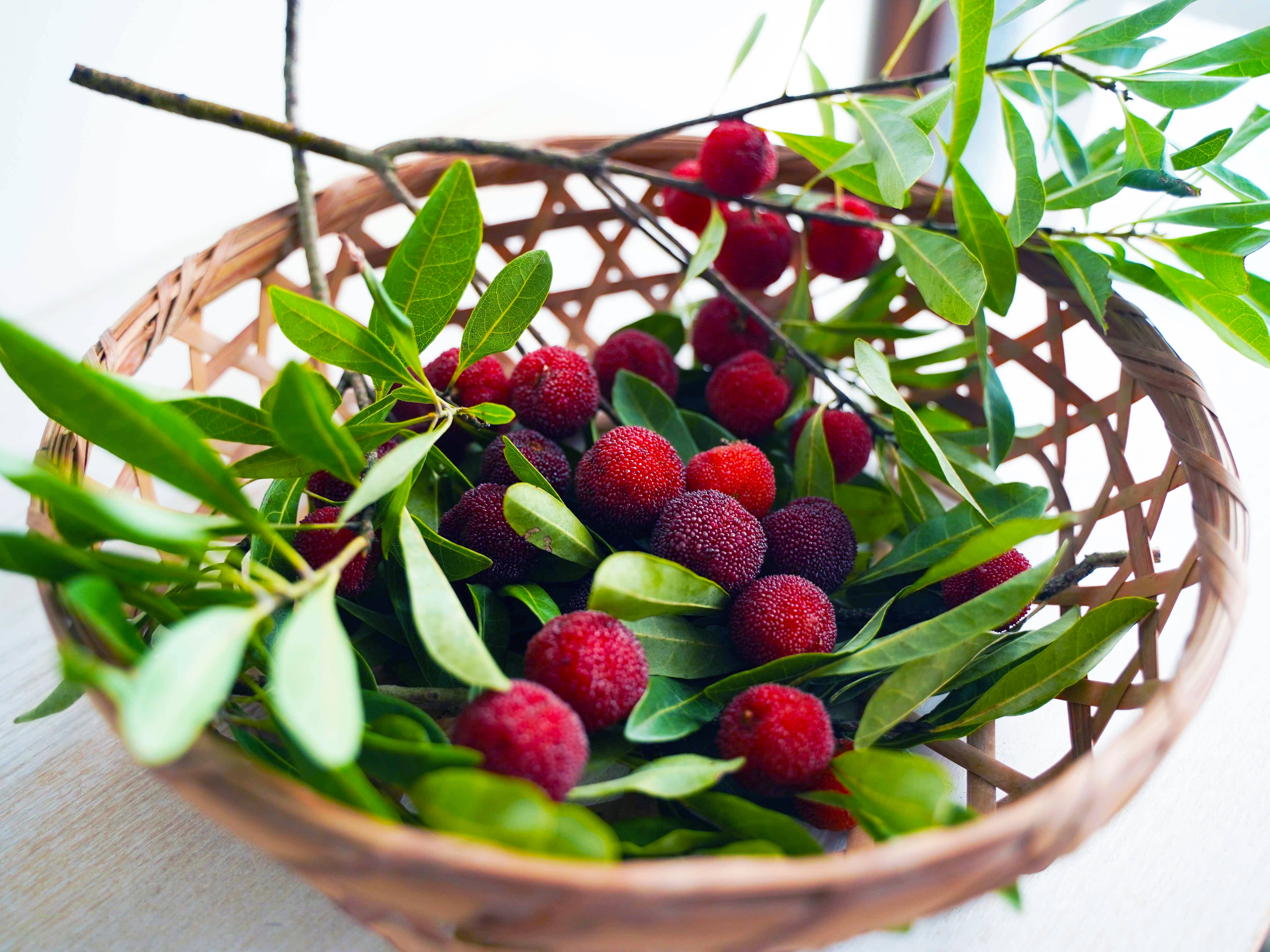 744125e0e5f64000d129ed05167e5e