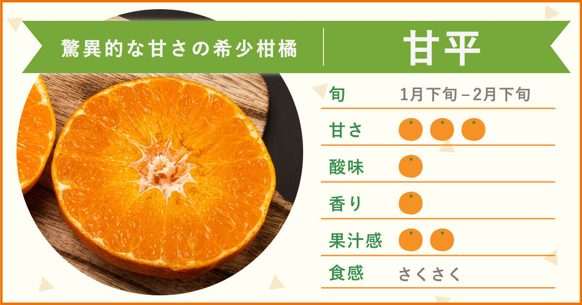 🍴 Tabe Choku｜[Ehime's proud "luxury rare citrus"] "Kanpei" is featured!Take a look at the large, bubble-wrapped fruit that is about to burst! The kingdom of citrus, Ehime Prefecture...