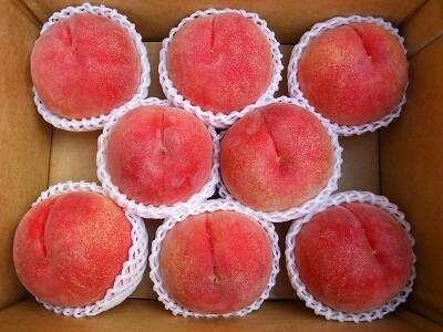 🍑新春大特価予約🍑 】【 30箱限定 】【 3000件突破‼️大人気‼️お試し