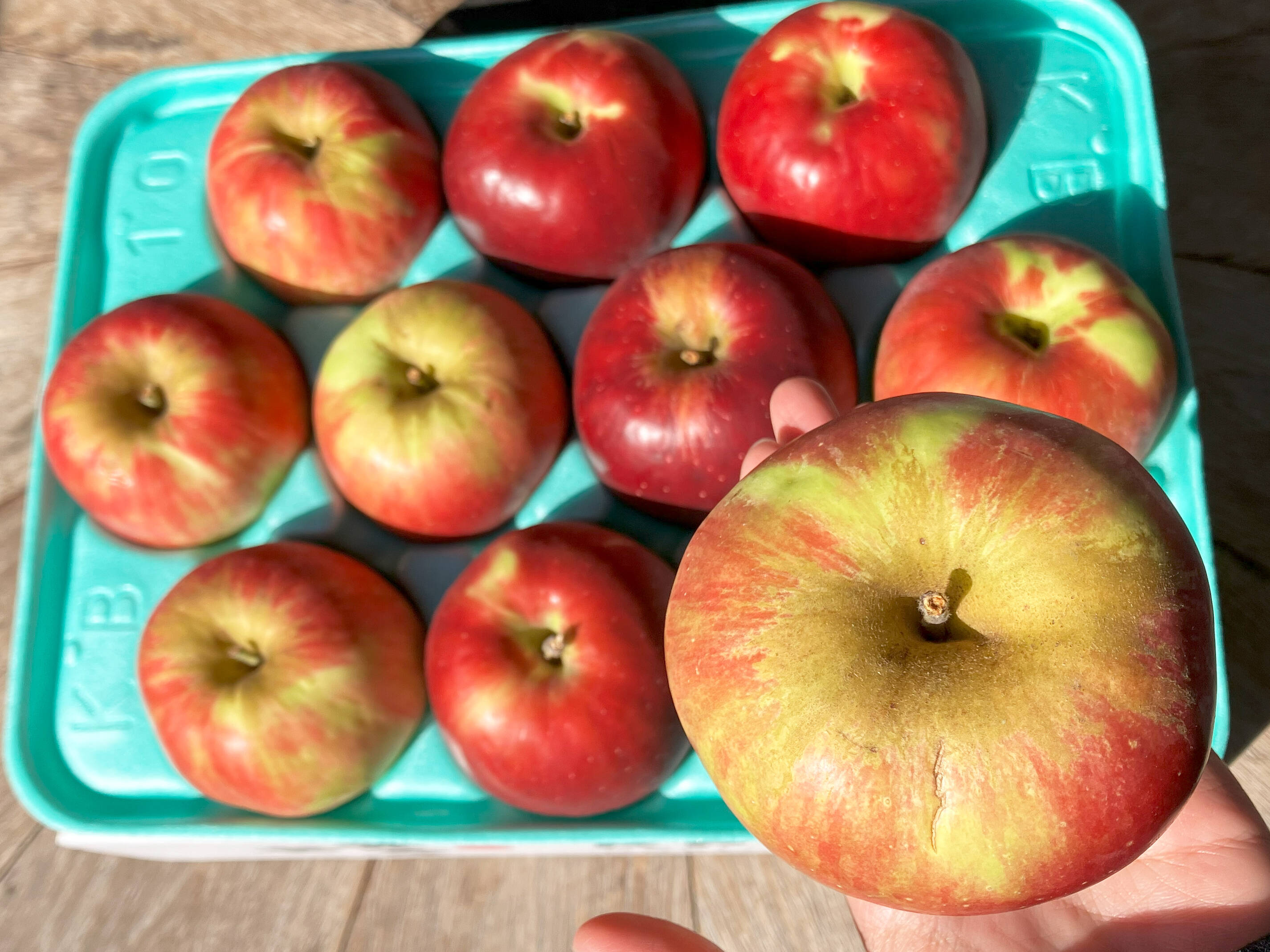 お菓子やジャムに大人気🍎紅玉🍎訳ありご家庭用 3kg 化学肥料不使用