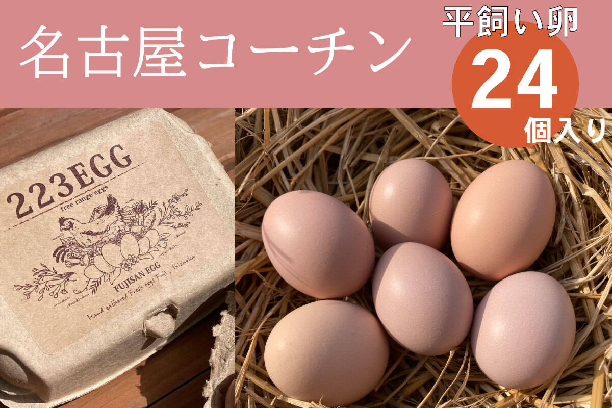 平飼い 卵 24個セット］名古屋コーチン 223EGG たまご：静岡県産の平飼い｜食べチョク｜産地直送(産直)お取り寄せ通販 -  農家・漁師から旬の食材を直送