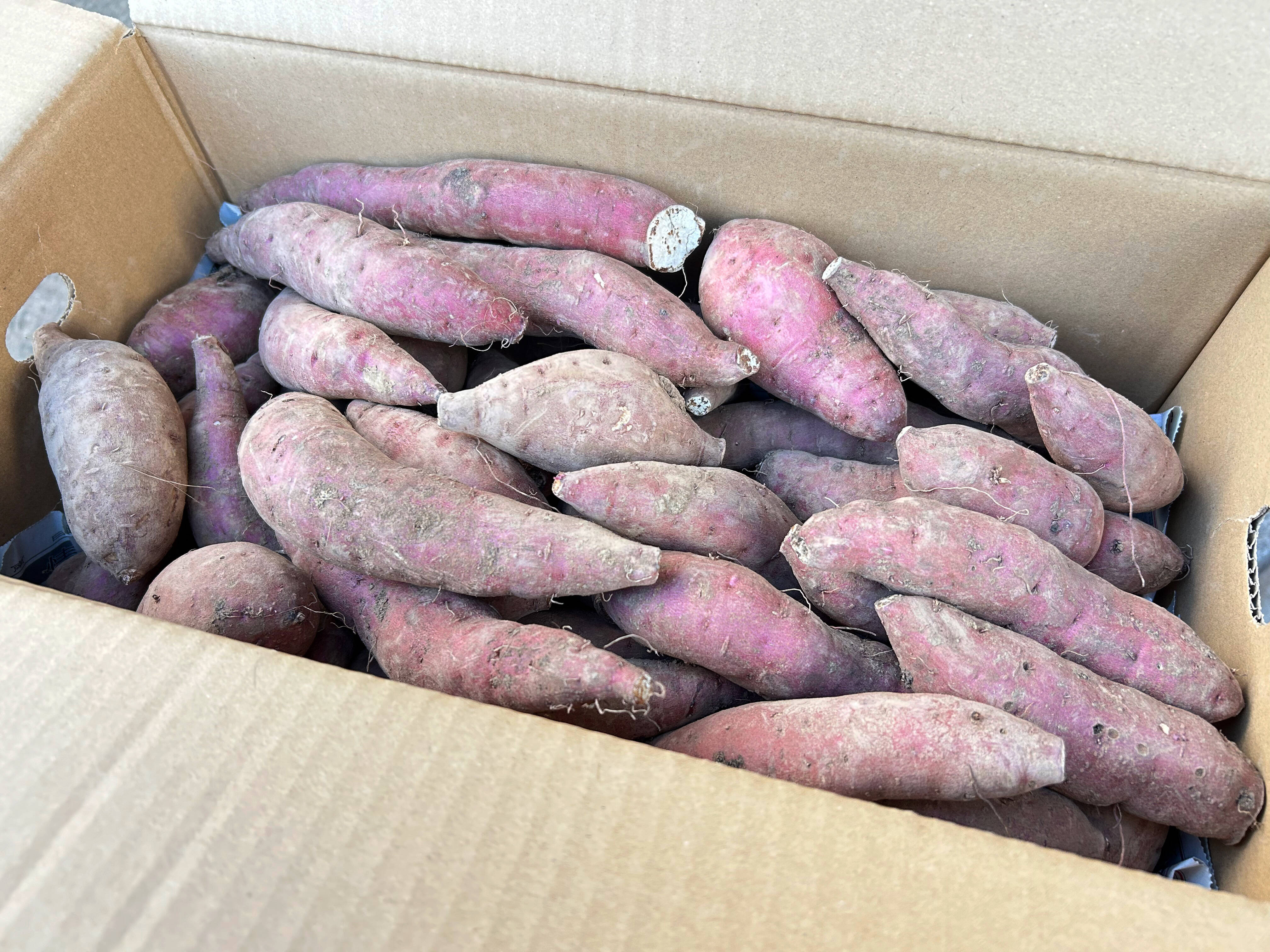 訳あり】紅はるか2Sサイズ／10kg：鹿児島県産のべにはるか｜食べチョク