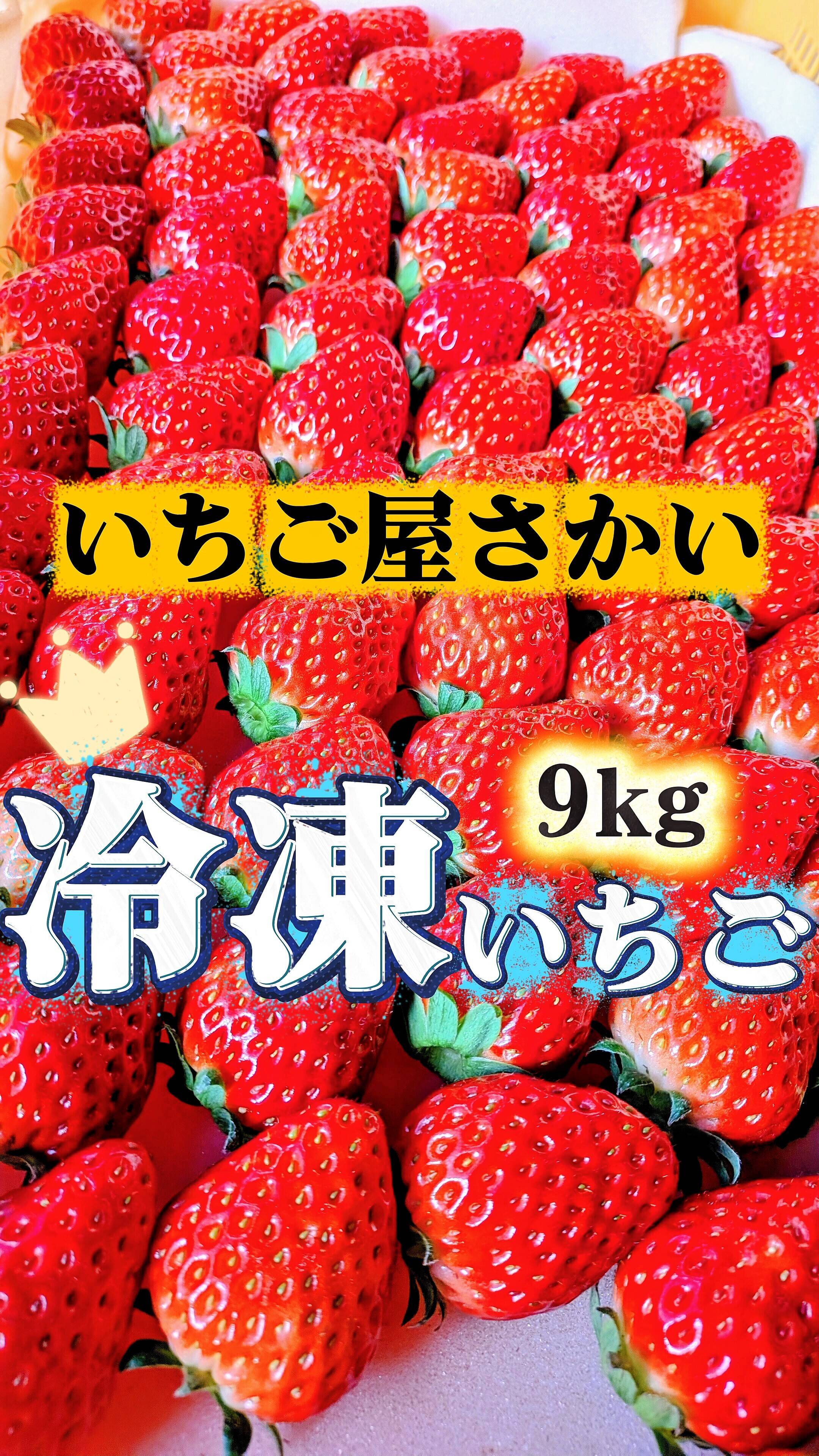 業務用″大量【冷凍イチゴ】9kg：愛知県産の紅ほっぺ｜食べチョク