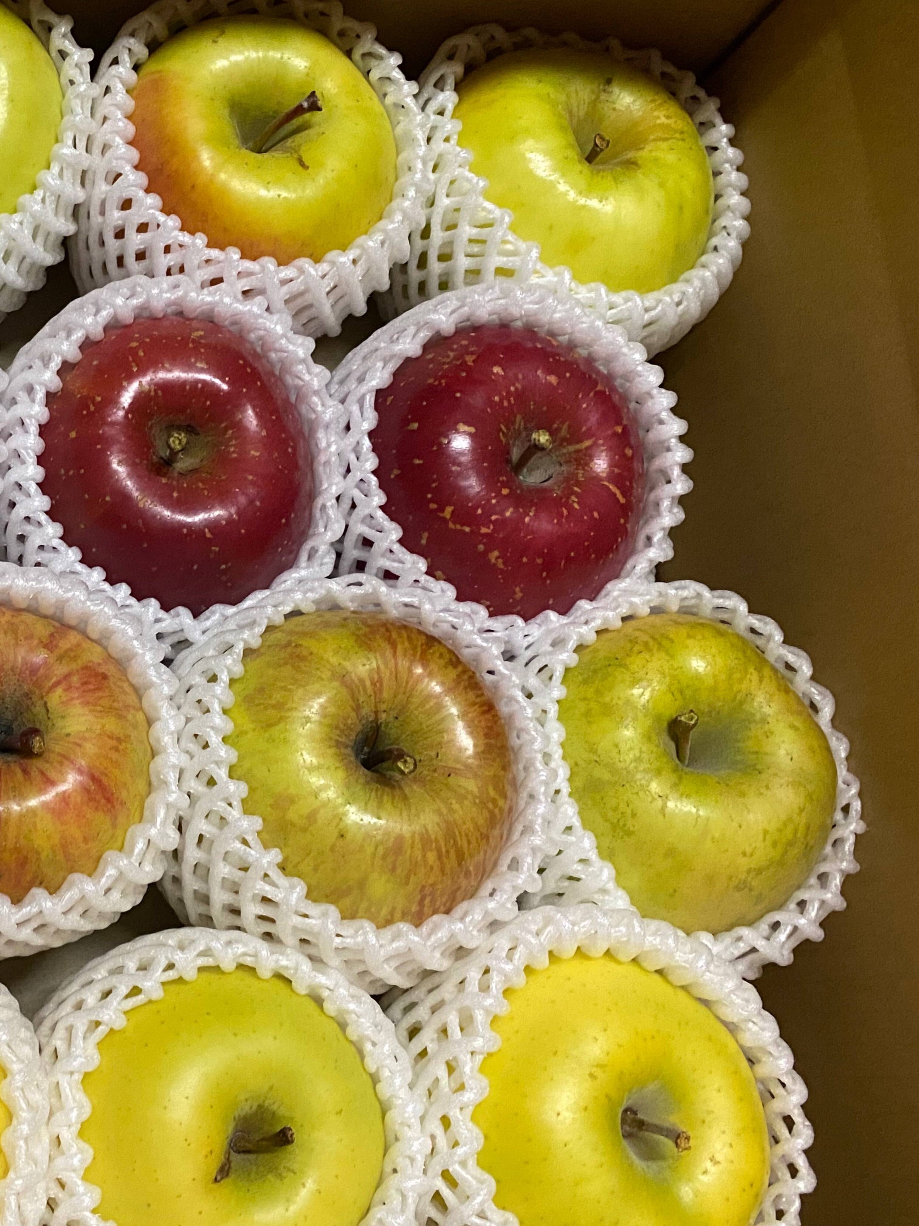 りんご品。 青森県産りんご4種詰合 家庭用約3キロ：青森県産のふじ｜食べチョク