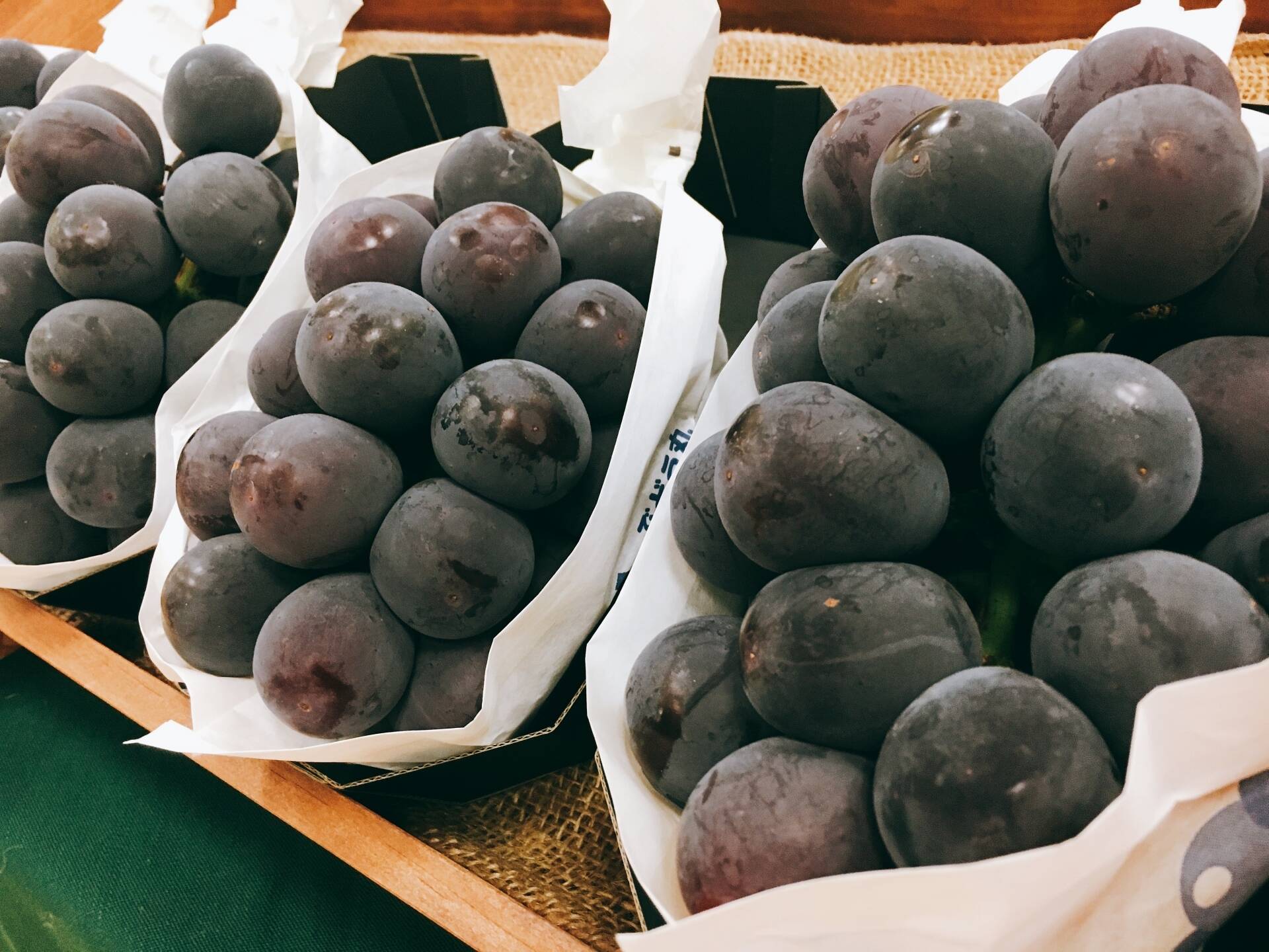 753ec8210ec5909642d6b1201f7a65