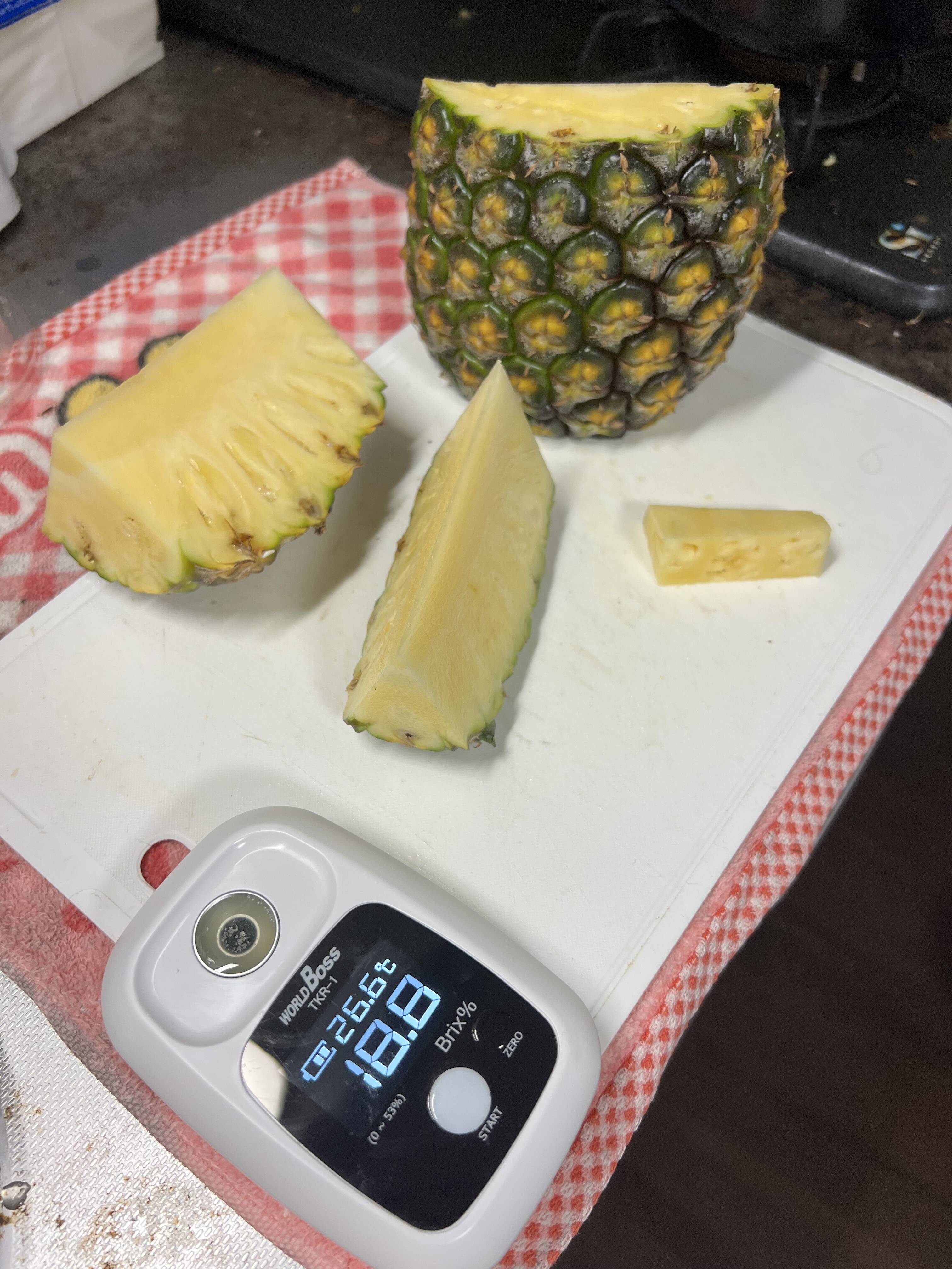 うちなんちゅ青果様用 取引用となります 鮎完全版仕掛 ZX複合メタル | サンライン