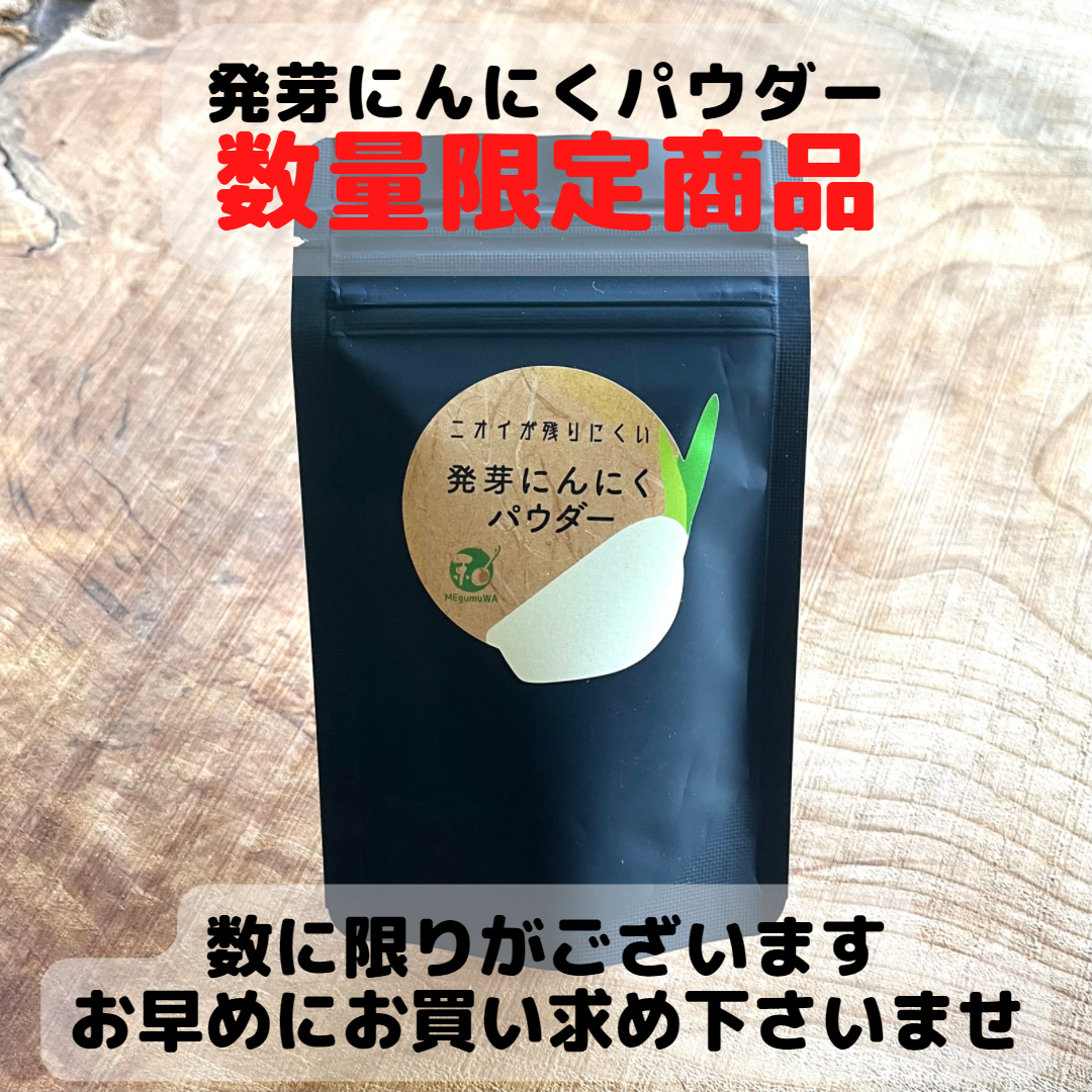 スーパーフード！乾燥発芽にんにくパウダー（20g×3袋）【通常の