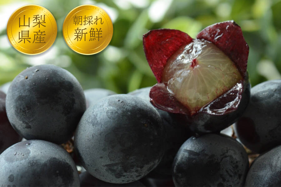 758da962b01e31bd41d5b4d42a302e