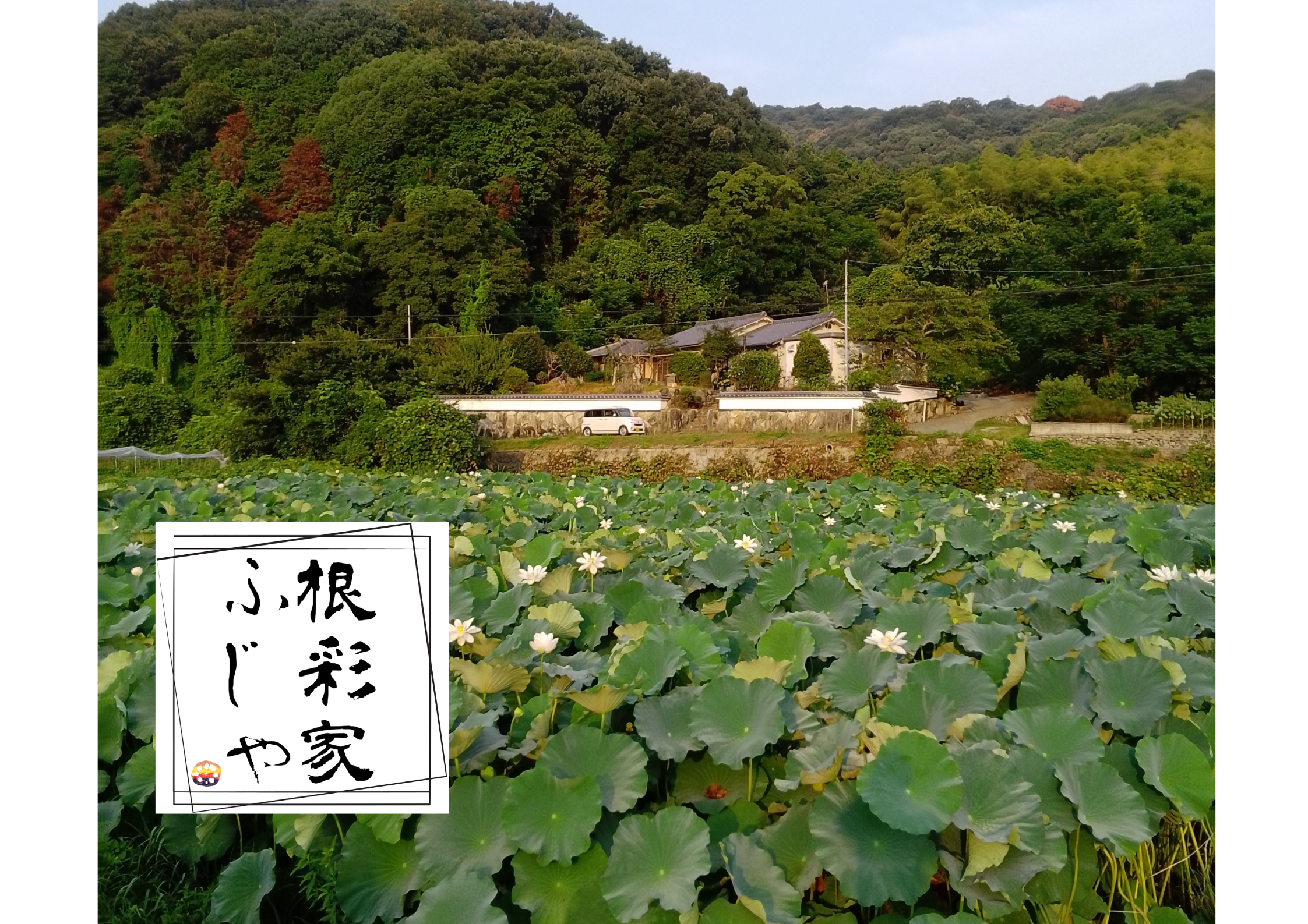根彩家ふじやへのレビュー・商品：広島県｜食べチョク｜産地直送