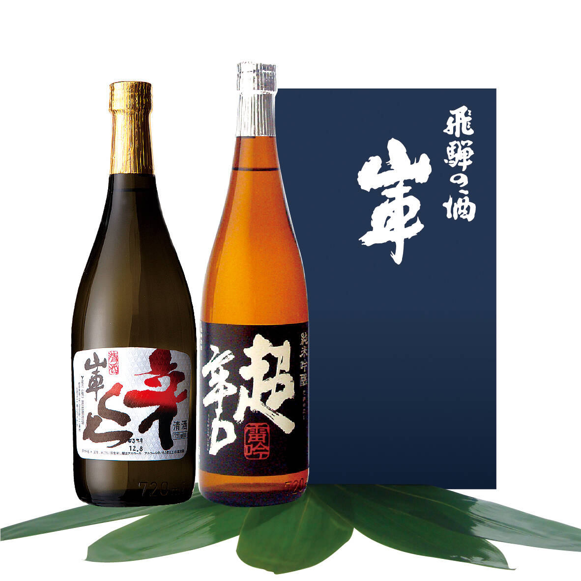 75e53b8cf30b7750a3ef493ea8f428