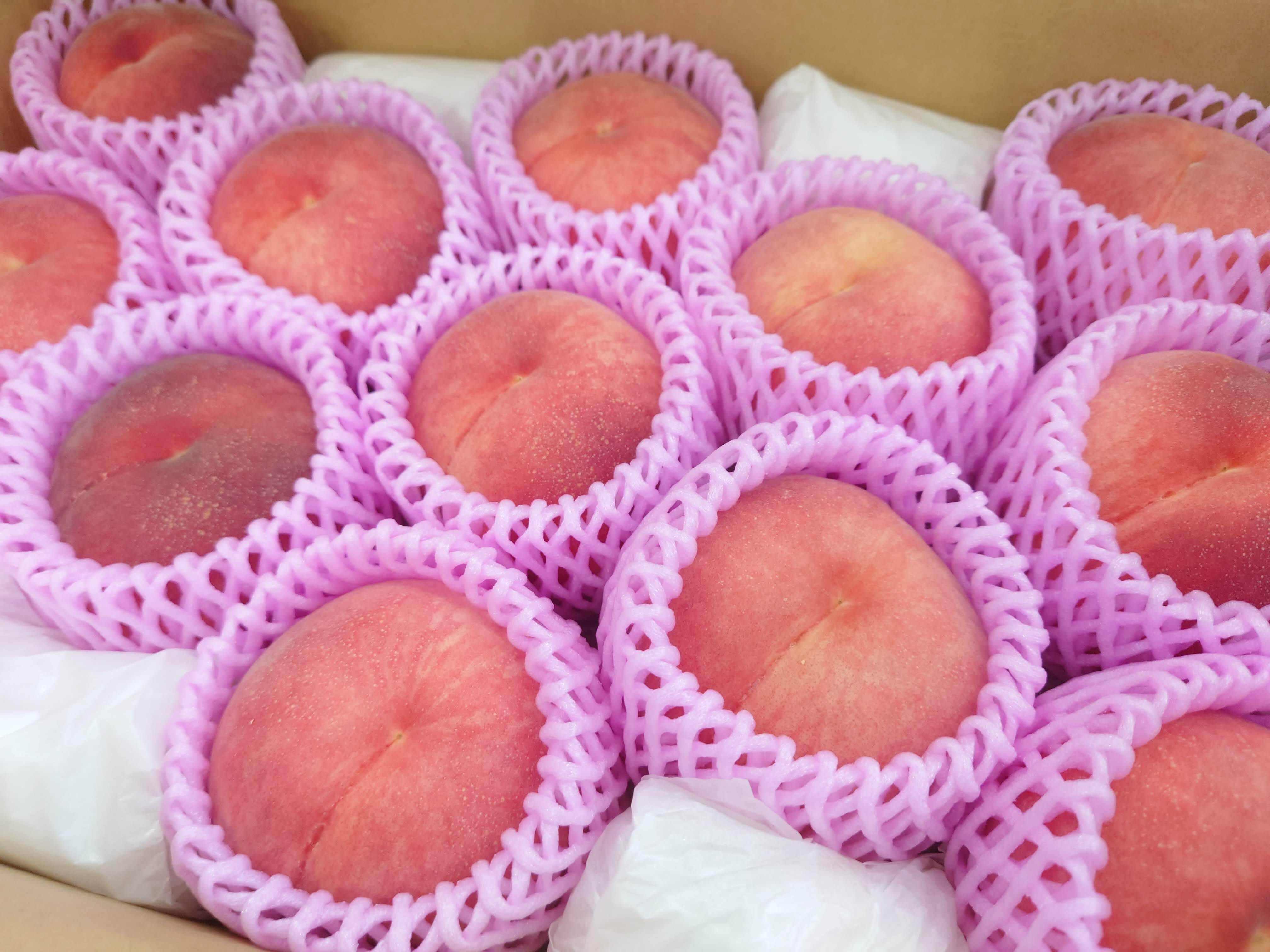 たっぷりサイズ！旬の桃 品種おまかせ L玉以上！約5kg【クール便