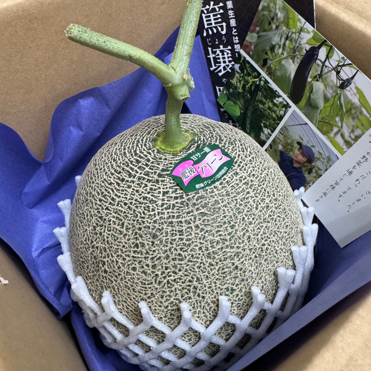 糖度17度！肥後グリーン♡　4個セット　　熊本県産 肥後グリーンメロン：菊池まるごと市場