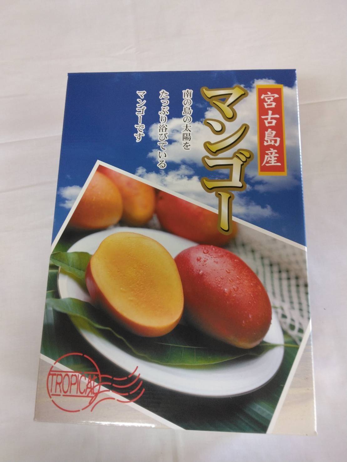 農家直送】宮古島産 完熟アップルマンゴー 贈答用約2kg（4〜6玉