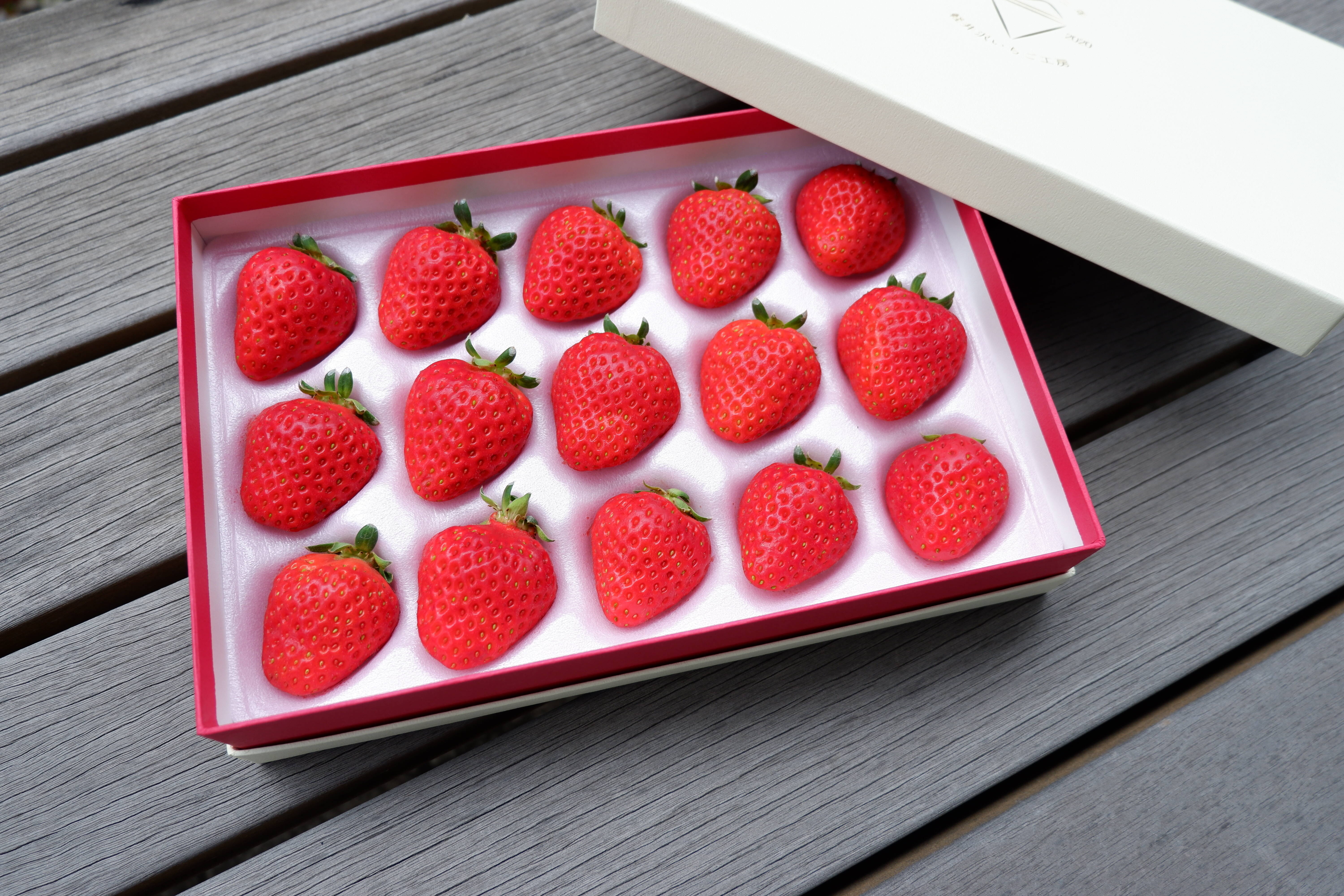 ふるさと納税 うきは市 よかもんいちご 大粒苺のギフトセットB 2025年1月2日から1月31日 出荷予定