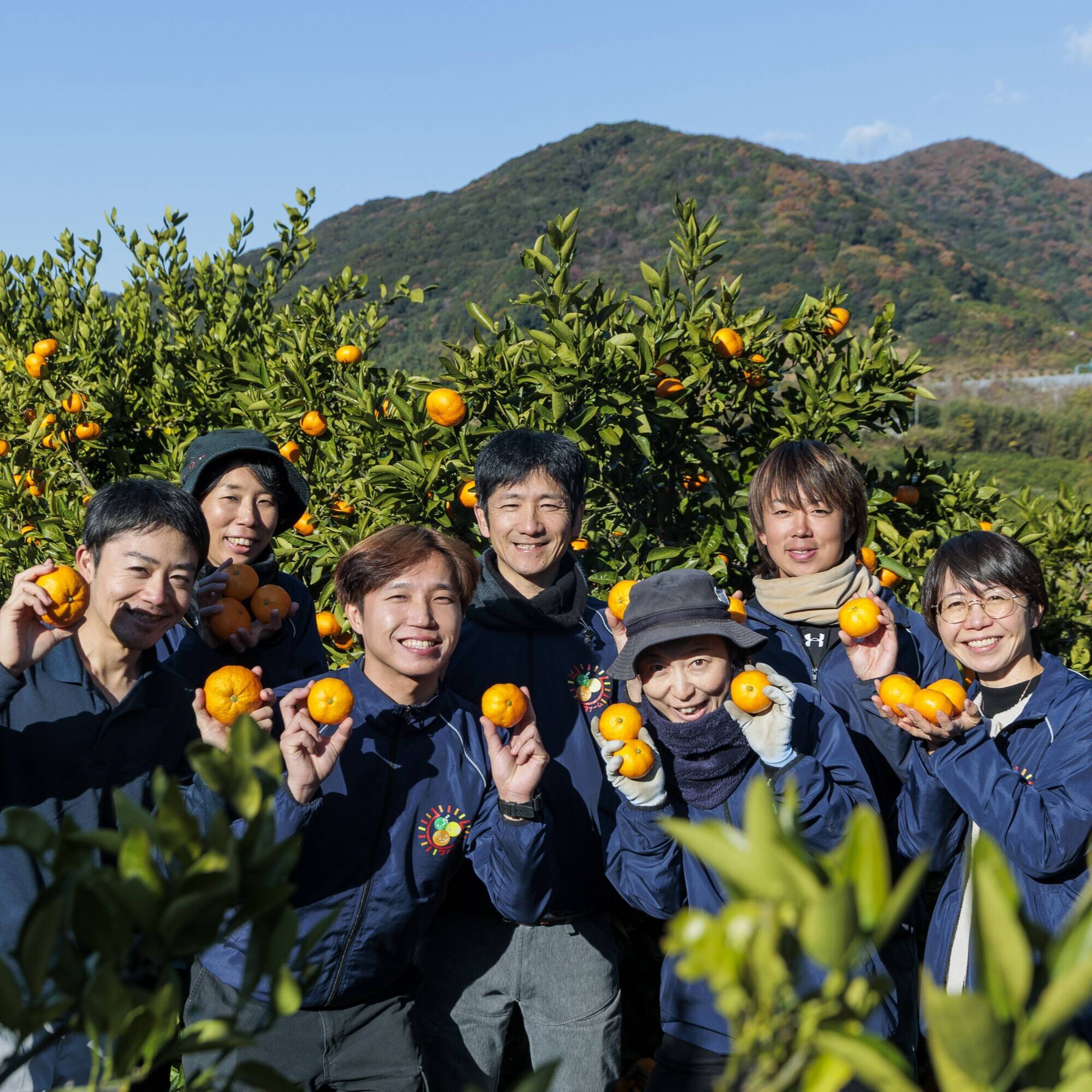 陽だまりファームへのレビュー・商品：静岡県｜食べチョク｜産地直送