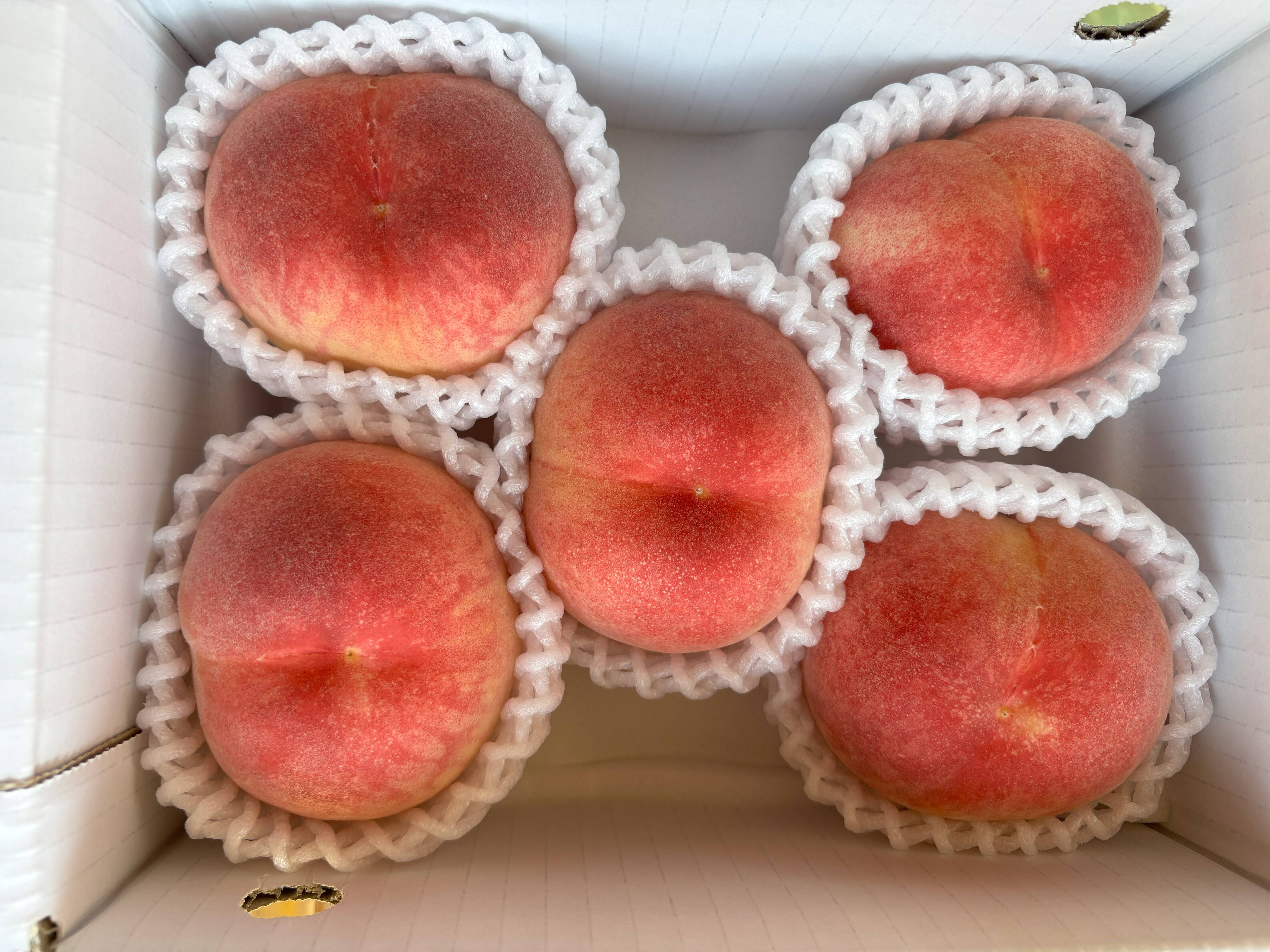 家庭用】 山梨県産桃 夢みずき 5~6玉：山梨県産の夢みずき｜食べチョク 