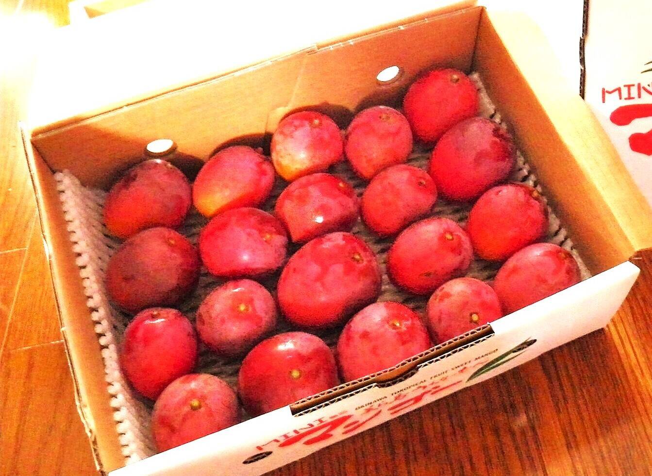 ☆特選！☆石垣島ミニマンゴー1kg☆【化粧箱入り】【熨斗紙】【夏