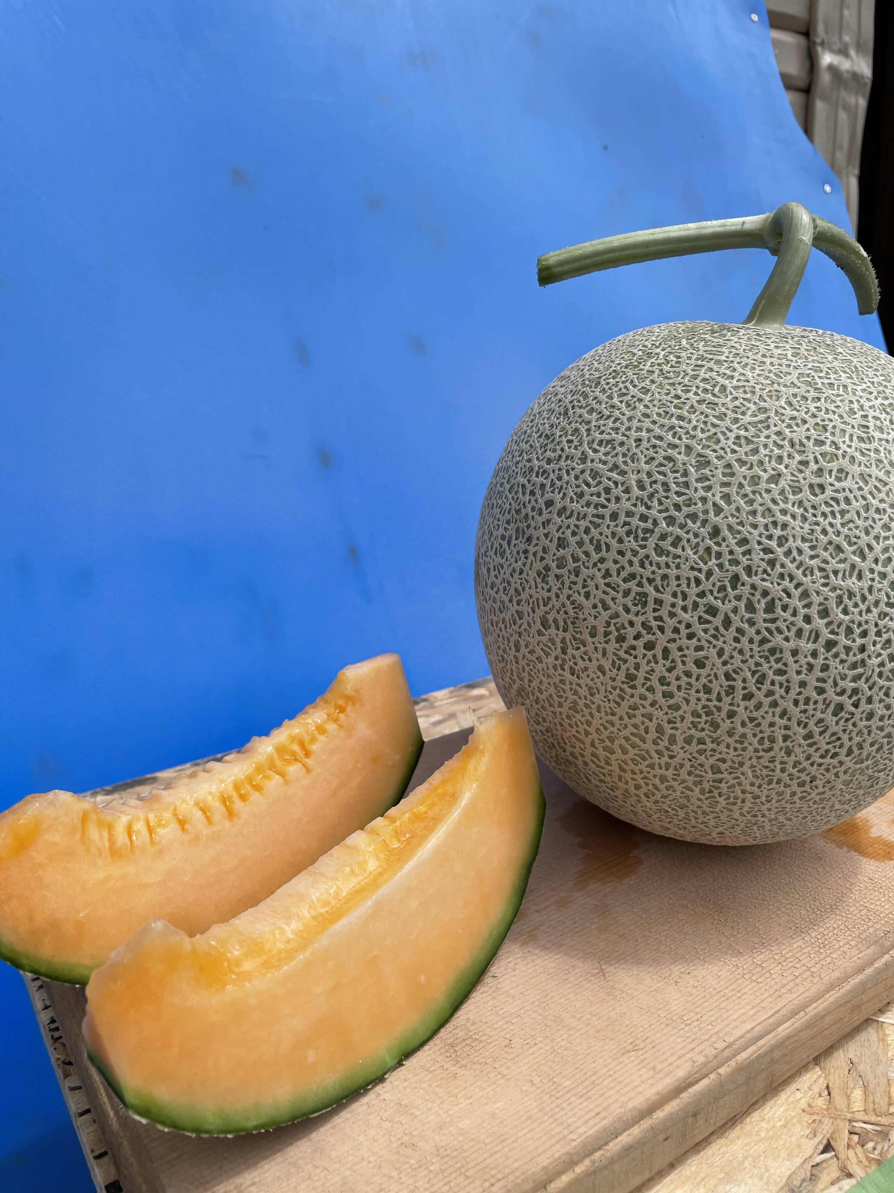 超特大!!!! 優品「品種：ティアラ」 北海道アサヒメロン3玉 8キロ 楽天市場】超特大 ドデカ アサヒメロン 優品以上 幻 超特大玉2.7