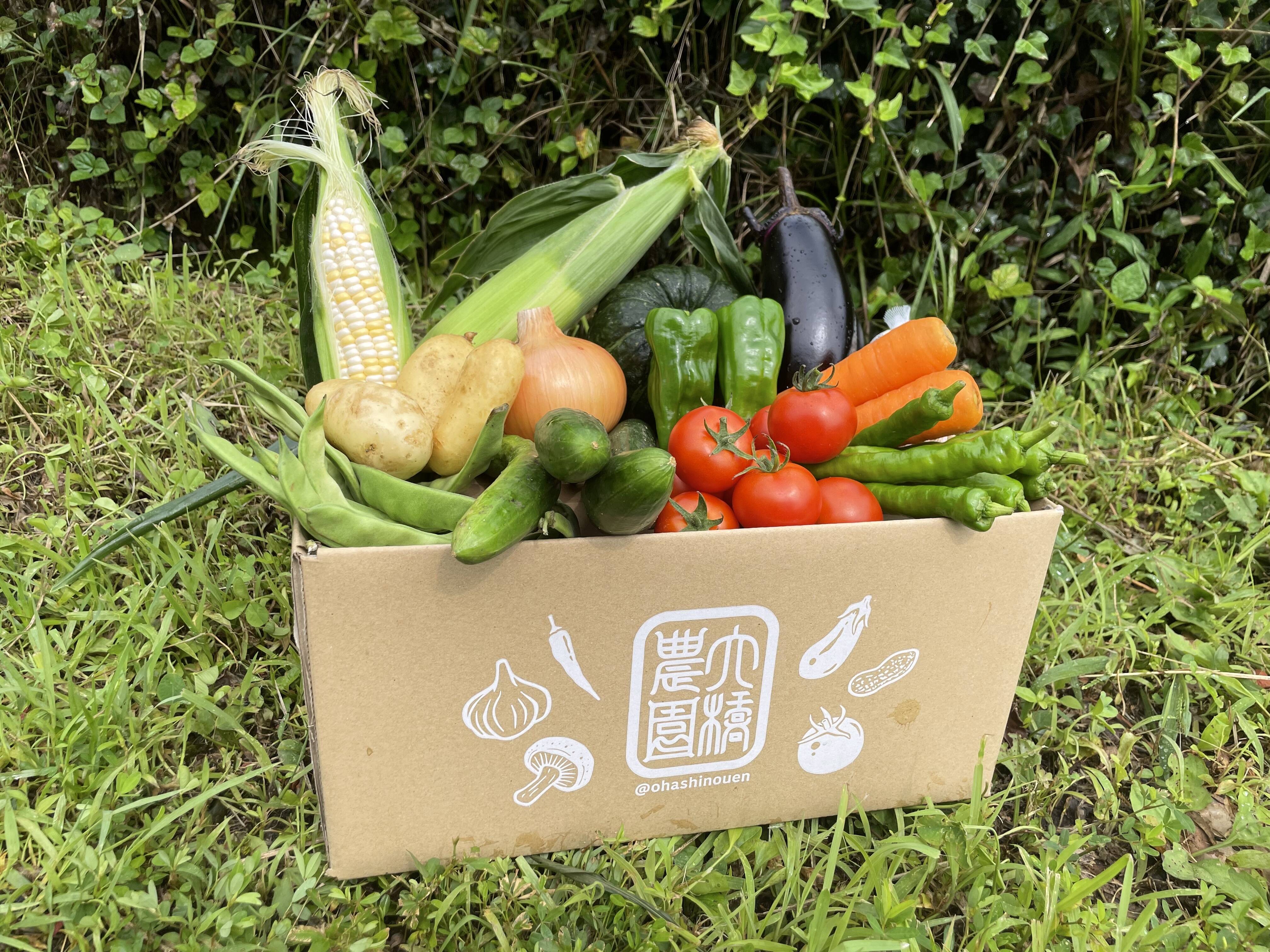 濃い味！朝採れ旬の野菜セット【12品目】：岐阜県産の野菜セット