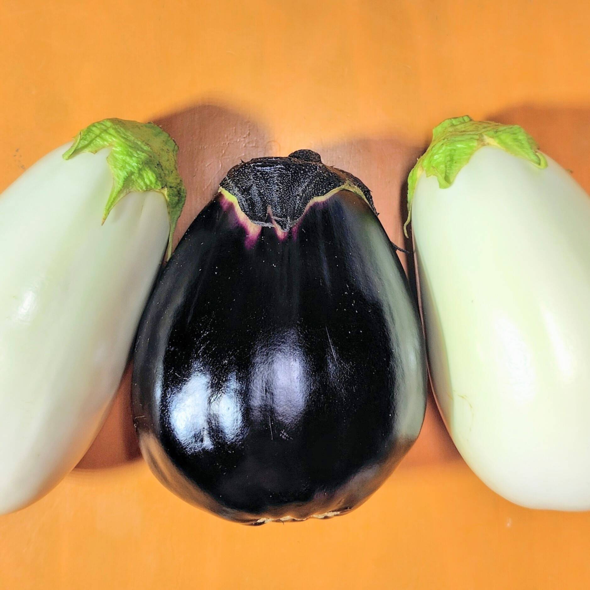 なす とろける茄子2種セット◇三豊なす＆とろーり旨なす：香川県産のとろー