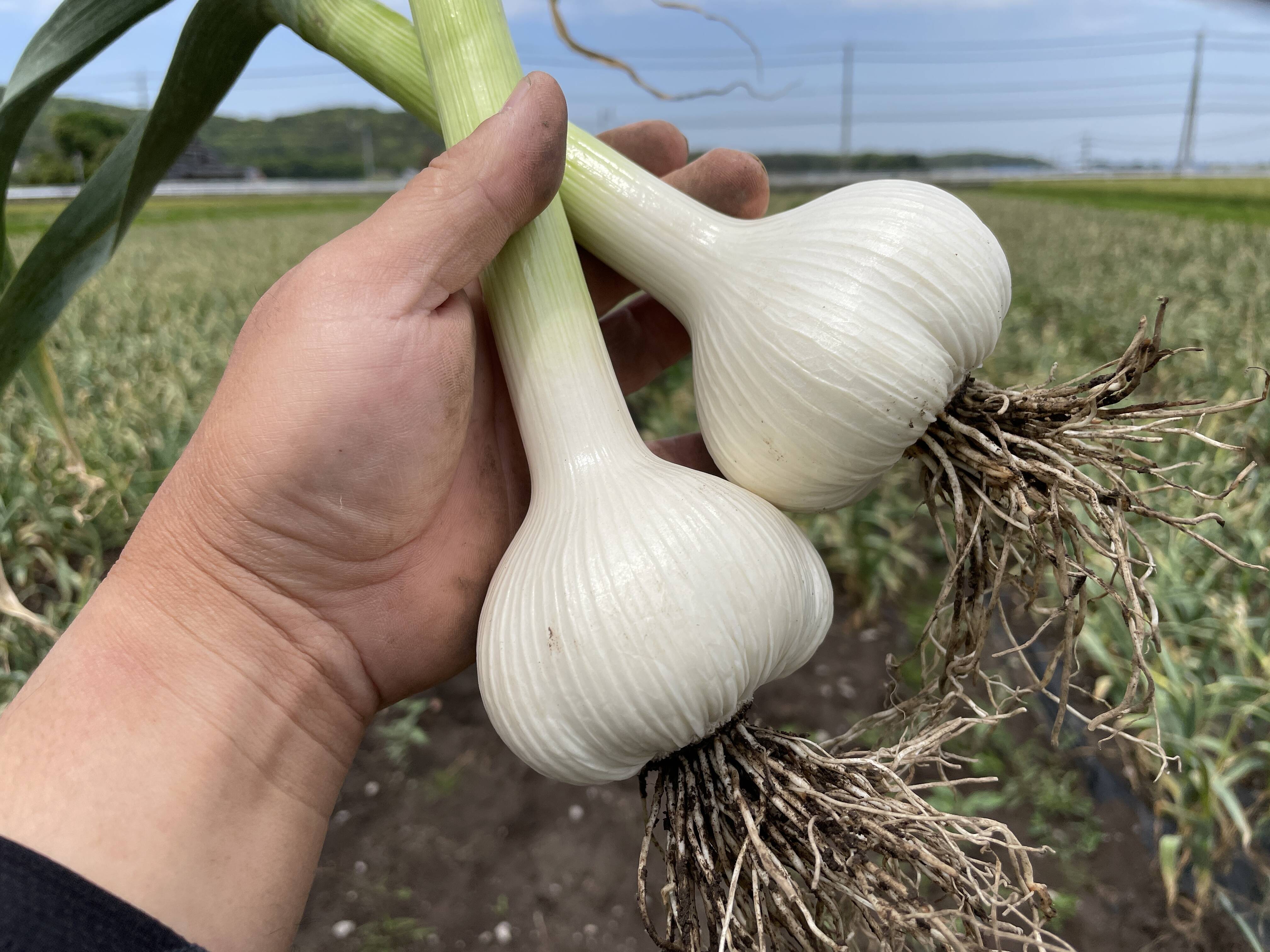 76d3c867d2f7316a8576df01c1645e