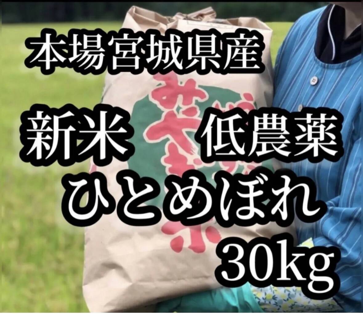 本場宮城県産令和8年新米ひとめぼれ玄米30kg：宮城県産のお米｜食べ