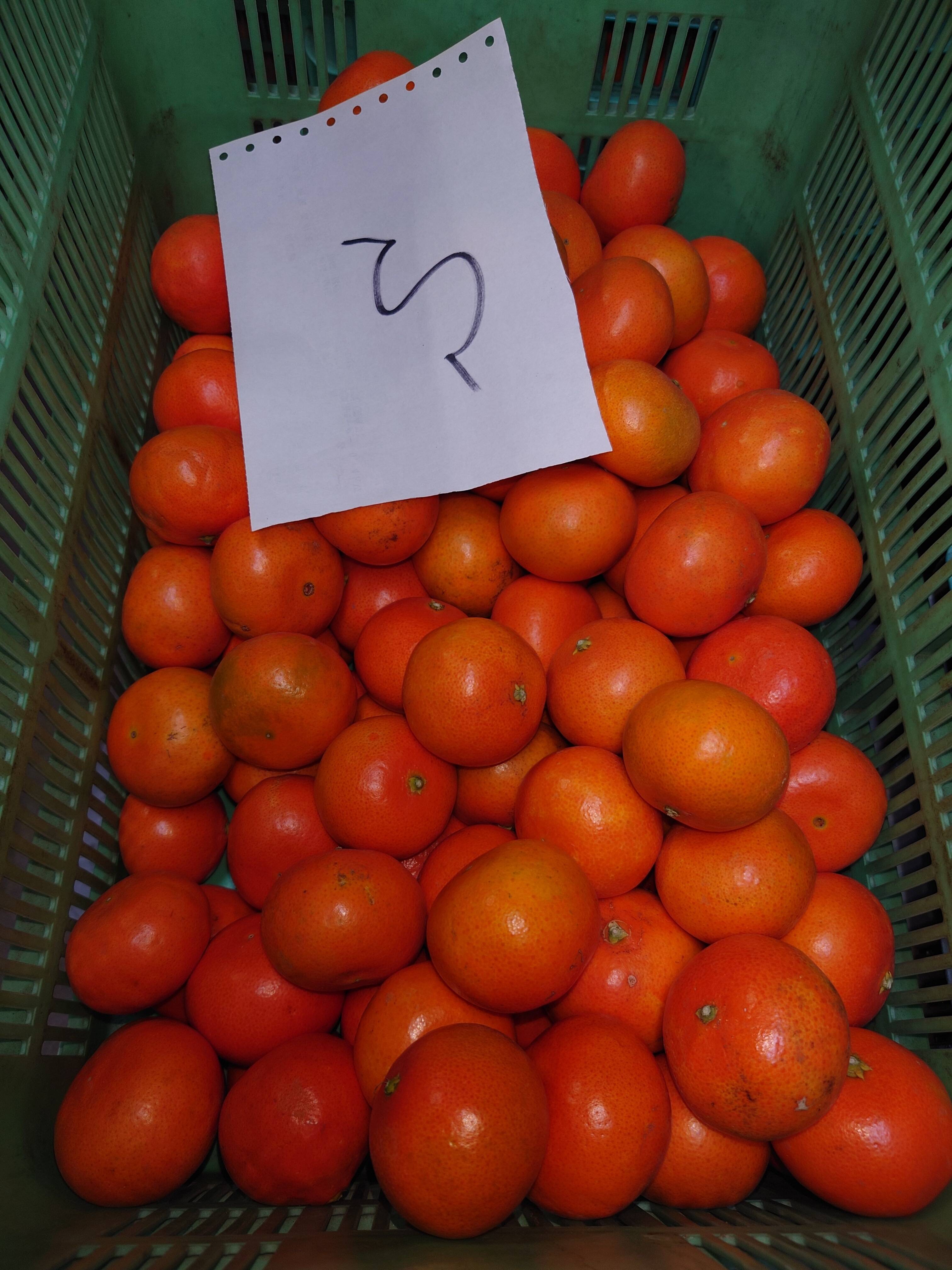 新品種☆柑橘☆みはや☆4kgSサイズ：佐賀県産のみかん・柑橘類｜食べ