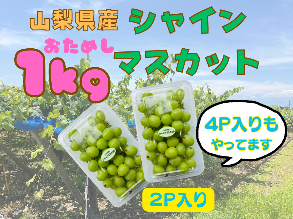 おためし1キロ入り♪】山梨県産シャインマスカット粒々パック【500g